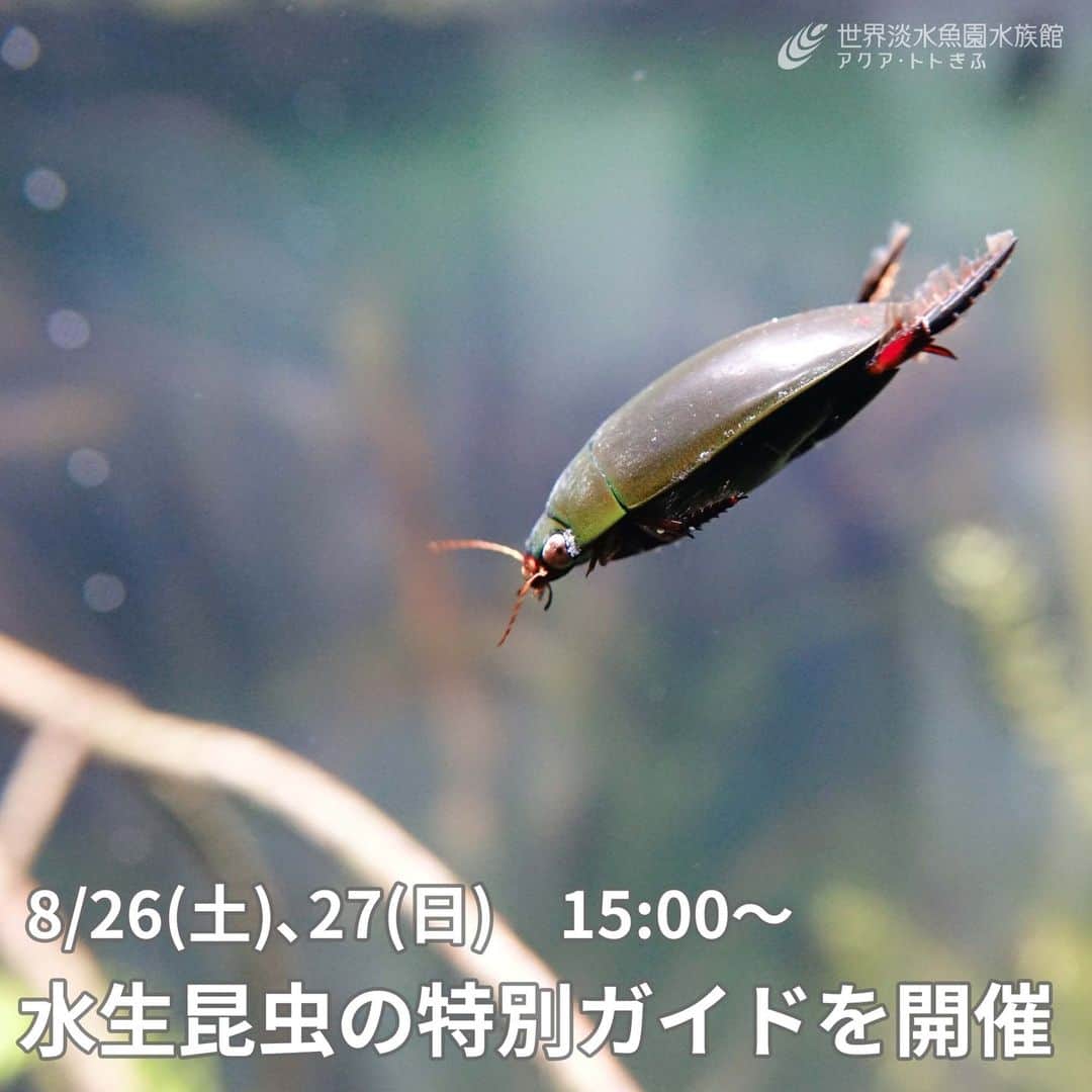 世界淡水魚園水族館 アクア・トト ぎふのインスタグラム