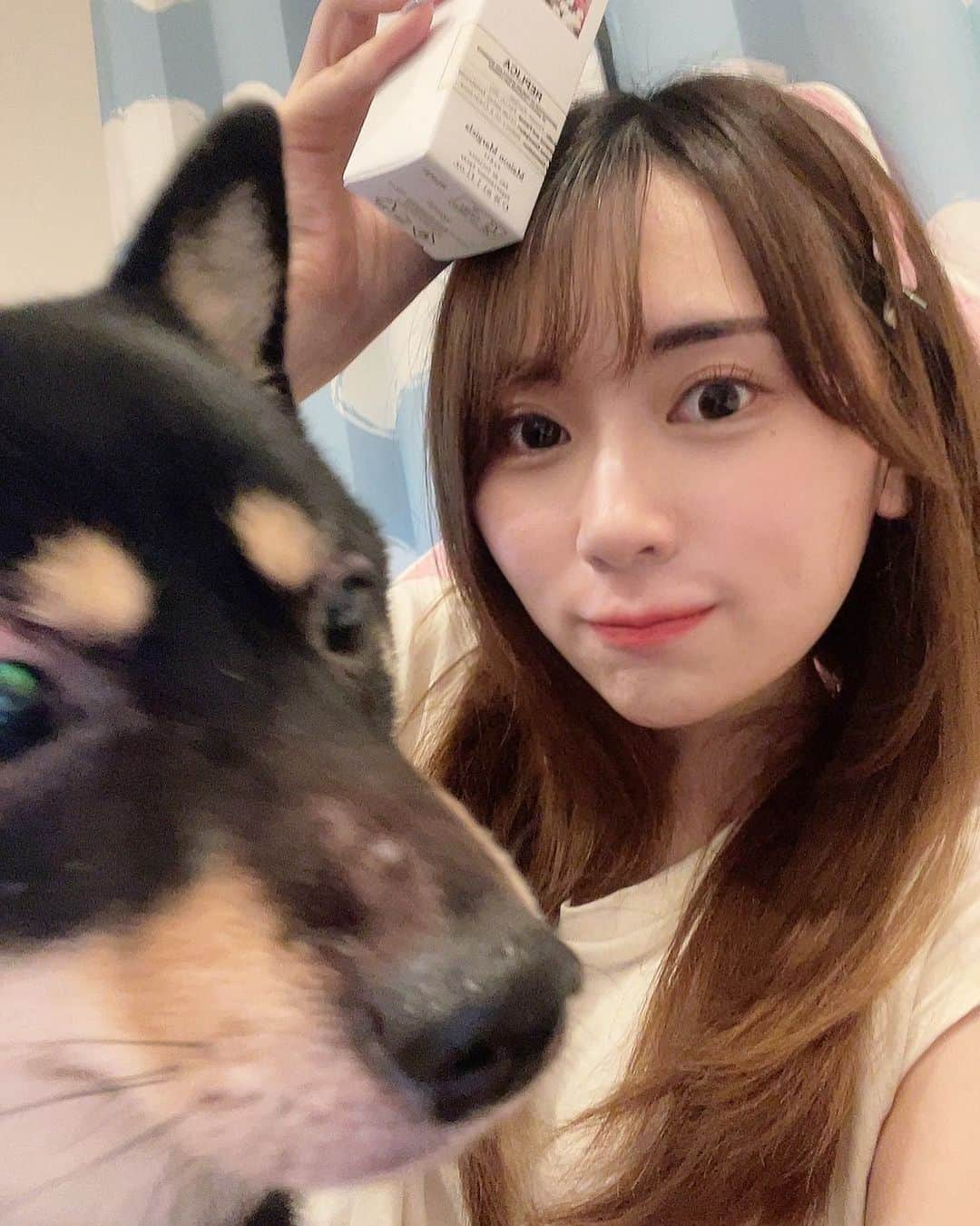 環奈（長沢菜々香の飼い犬）のインスタグラム：「なんだなんだ」