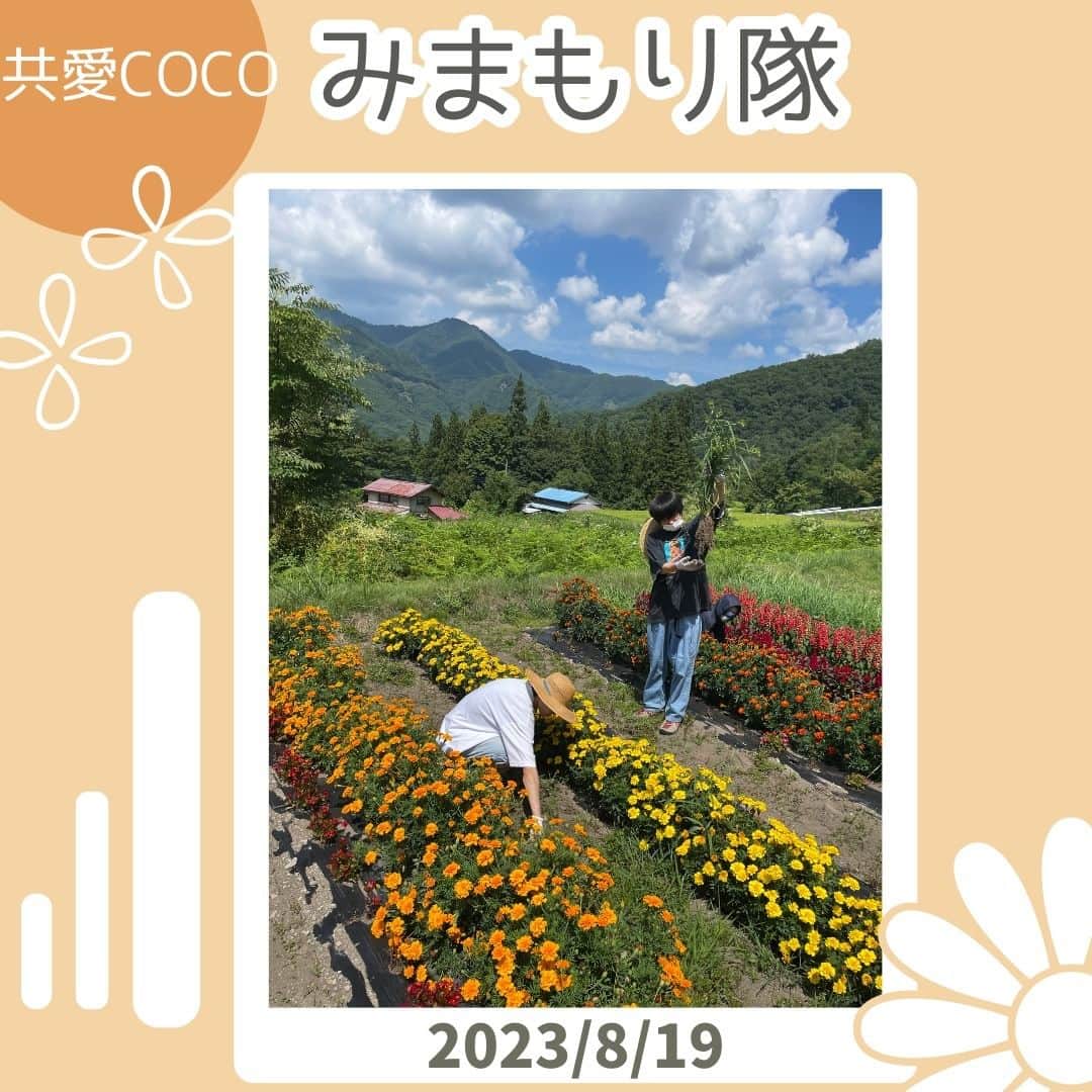 共愛COCOのインスタグラム：「8月19日(土)　みまもり隊  今回のみまもり隊では、午前中は花壇の草むしりを行いました。日差しが強く気温も高かったため大変な作業ではありましたが、無事作業を終え、作業後の花壇を見て達成感や喜びを味わうことができました😌 午後は雨天のため、作業を中止し、明男さん宅で平出の歴史を教授いただき、珍しい柿の木があることや、藤原ダム建設時の出来事など貴重なお話をしていただきました。今回のみまもり隊を通し、また新たな平出の魅力や歴史を知ることができ貴重な時間を送ることができました✨  国際コース３年大津怜央  #共愛学園前橋国際大学 #共愛COCO #kyoai  #みなかみ #水上 #minakami #群馬県#群馬#群馬観光#gumma  #みまもり隊 #平出 #平出集落  #藤原ダム #ダム」