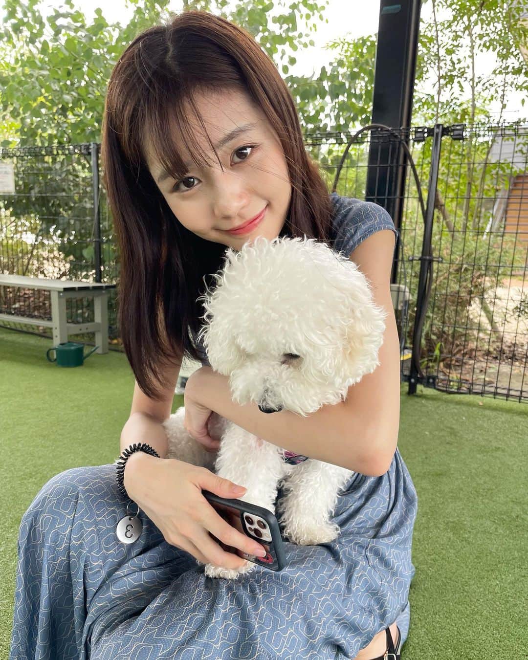 杉浦みずきのインスタグラム：「. へたれ全開ならむねっこ  元気なわんちゃんに追いかけられるとすぐしょぼくれて膝乗ってきます😂😂  あなたドッグランなんやから走りなさいーーー！  #ビションフリーゼ  #ドッグラン」