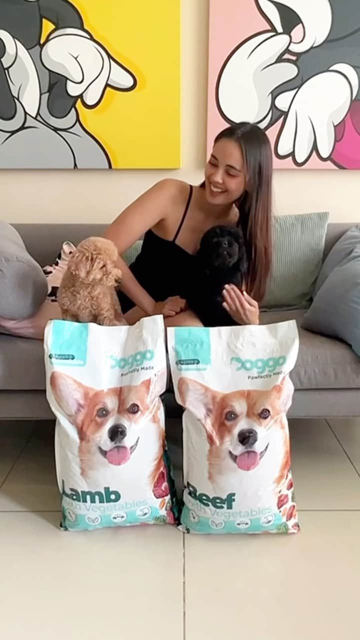 ミーガン・ヤングのインスタグラム：「Chia and Soba living their best doggo life with this pawfectly delicious dry food from the Netherlands! With flavourful taste of beef, lamb, and veggies with no artificial colors! Also, the resealable packaging keeps their crunchy bites fresh for every tail-wagging moment!  Grab your own Doggo Dry Food for your furbabies’ bite-sized happiness! Available now in Doggo’s website, Lazada & Shopee pages.」