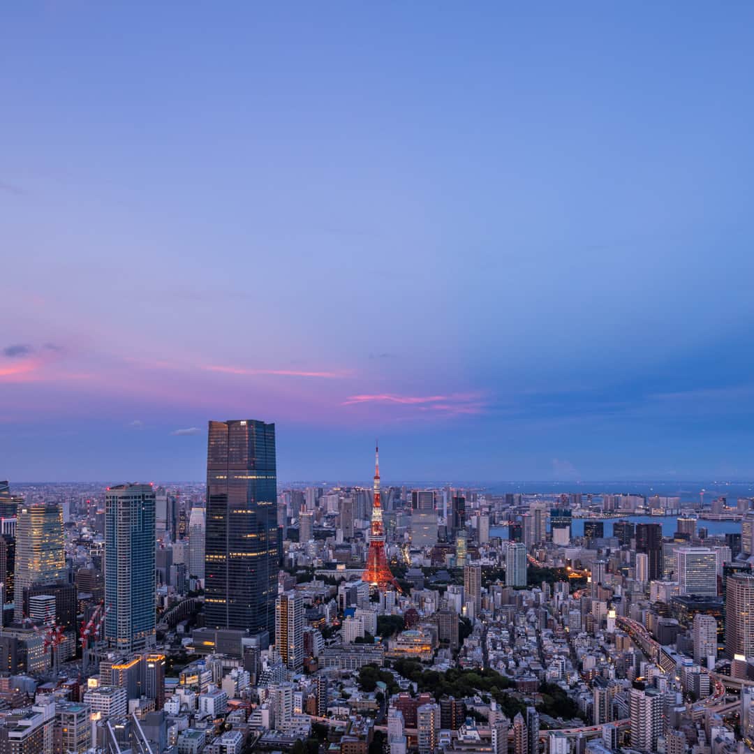 Tokyo City View 六本木ヒルズ展望台さんのインスタグラム写真 - (Tokyo City View 六本木ヒルズ展望台Instagram)「8/31（木）まで「Summer Sky Deck 2023」を開催中！ スカイデッキでは海を感じ、楽しめる様々な演出を行っています。 東京湾も望めるスカイデッキで、この夏の思い出づくりをしてみませんか？ ※雨天、荒天、雷雲発生時はクローズ  🚢⚓🐳 「Summer Sky Deck 2023 ～海風感じるスカイデッキで夕涼み～」開催中！ 期間：7/14（金）～ 8/31（木） https://tcv.roppongihills.com/jp/exhibitions/summer2023/  撮影：荒谷良一  #六本木ヒルズ展望台 #スカイデッキ #東京シティビュー #東京タワー #展望台 #絶景 #景色 #荒谷良一 #RoppongiHillsObservation #skydeck #TokyoCityView #SummerSkyDeck2023 #TokyoTower #TCV #Tokyo #japantravel #tokyo #roppongi #RyoichiAratani #travelgram #japantrip #japan_daytime_view #japan_of_insta #bestjapanpics #tokyomuseum #artoftheday」8月24日 21時00分 - tokyocityview