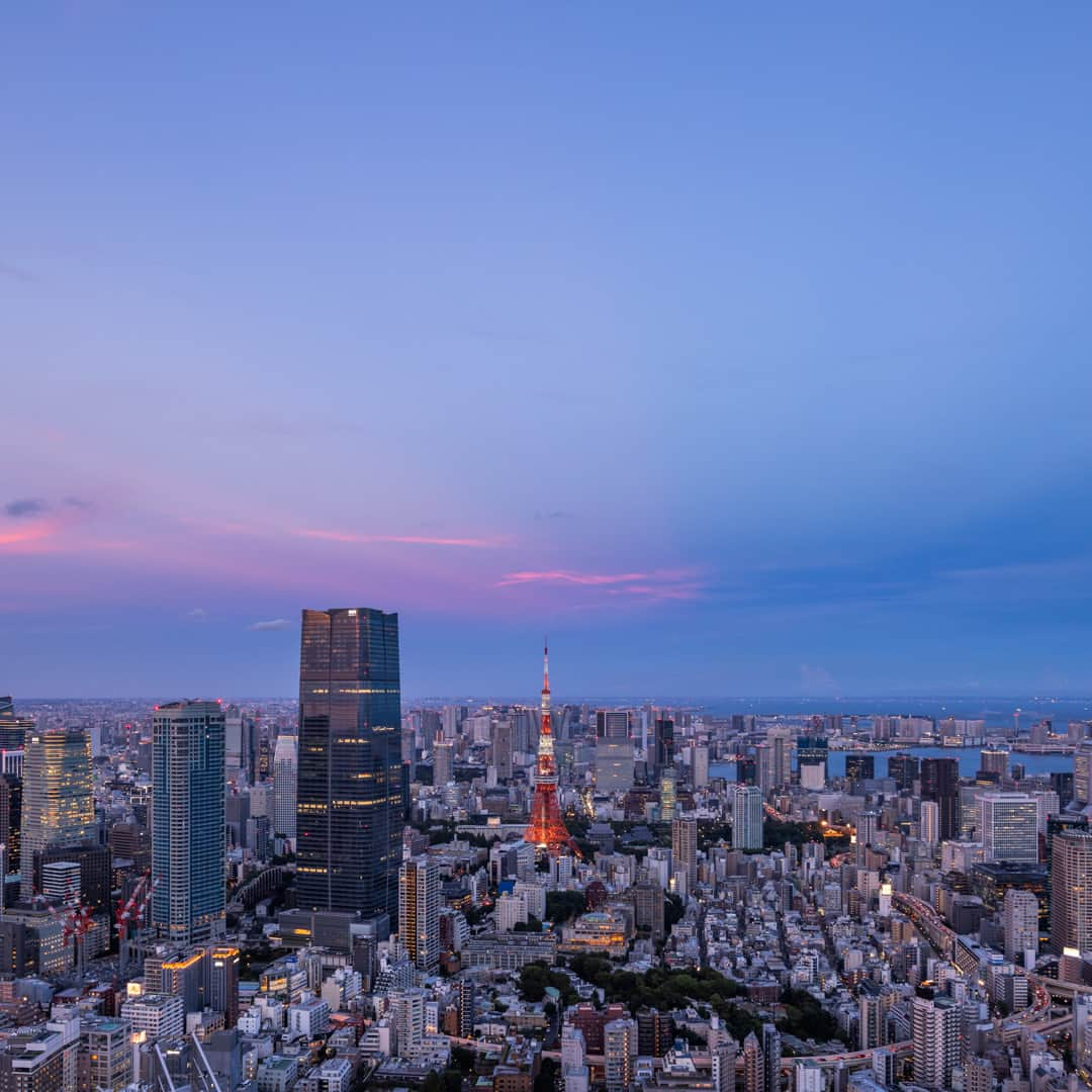 Tokyo City View 六本木ヒルズ展望台のインスタグラム