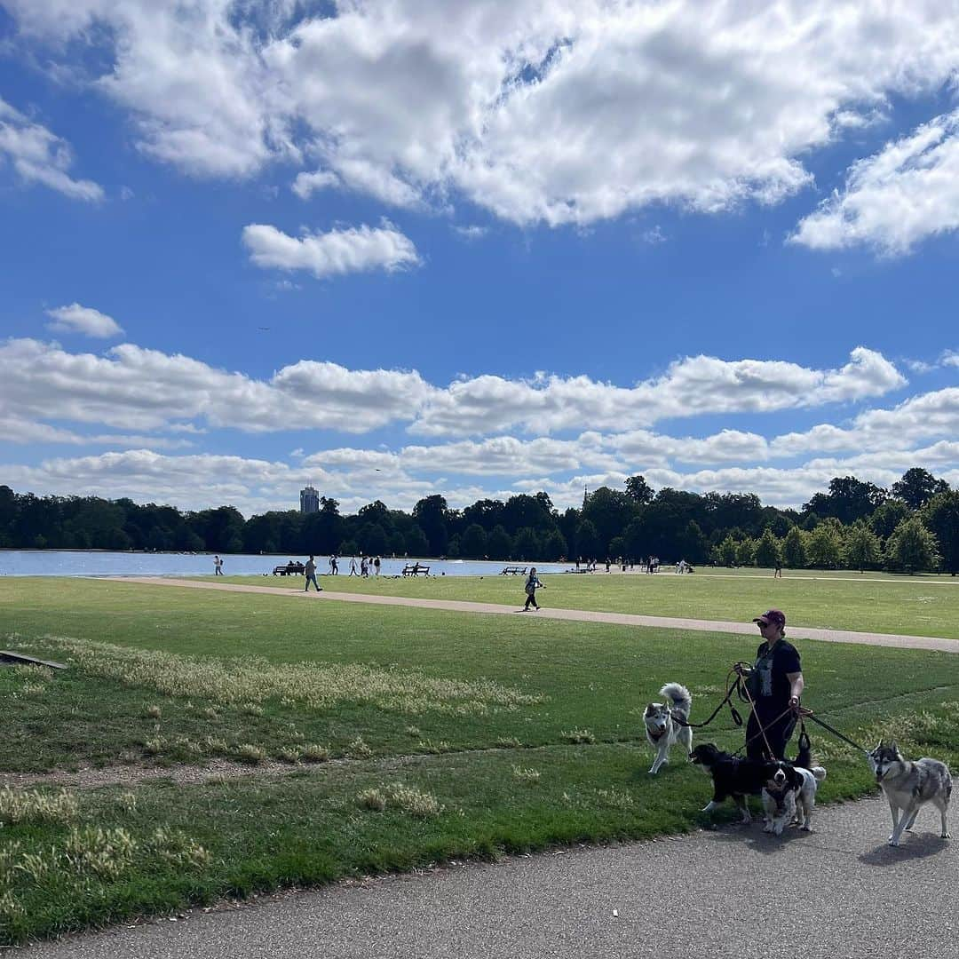 せとまみさんのインスタグラム写真 - (せとまみInstagram)「天気に恵まれて過ごしやすい✨公園が多いので歩いてて浄化されるよ…池があって上野公園かなってなる(ならない)  イギリスに着いた翌日から早速ヘアとメイクが「海外にいるアジア人」に寄っていってるのは気のせいではない！なんか、メイクしっかりしたい欲がくすぐられるのよ　髪もリバースディーバ巻きよ  チアシードをココナツミルクで包んだおやつがウルトラ美味しかった。怖くてカロリー見てないけどプチプチが弾けて混ざってカロリーゼロなので大丈夫でしょう🙆‍♀️  #makeup #beauty #London #hydepark #犬 #平和 #チアシード #plantbased #jlo #hair #メイク」8月24日 21時09分 - mamiset