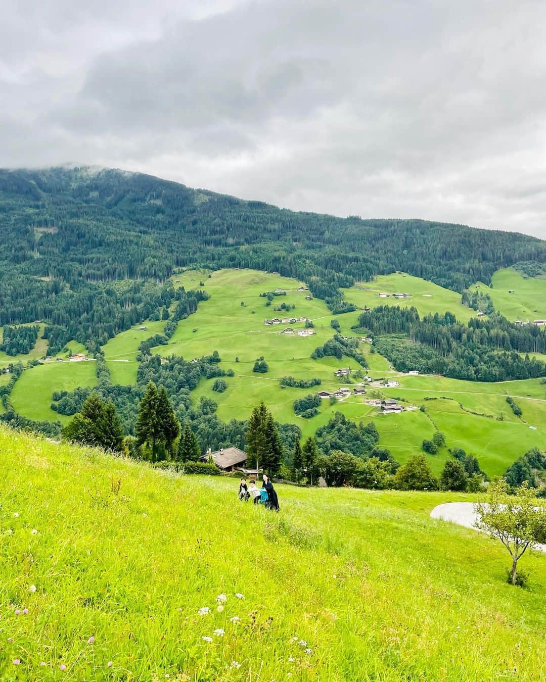 八木早希のインスタグラム：「✈️ミュンヘン🇩🇪→🚙2時間🇦🇹  町から数分で、いつの間にか標高1000mのまさにハイジの世界🌿  自生しているアプリコットやブルーベリーの甘いこと！雲が山に当たり刻々と風景が変わる様子、 自然の恵みにすぐ手が届く歓びに、到着早々 大興奮の旅の始まりです🌿  #オーストリア#インスブルック#山#ハイジ#austria#austriavacations#Innsbruck#wattenberg#mountain#nature#fullness」