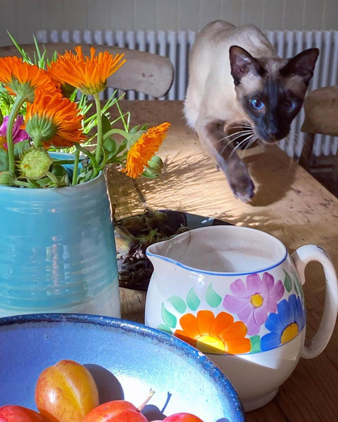 Tea and sittingさんのインスタグラム写真 - (Tea and sittingInstagram)「♥️…Some of the flowers from the car boot sale yesterday in a lovely vase I found in a local charity shop…however, it’s the other two ceramic pieces flanking the dahlias which are particularly special to me…They were both made by @holly_l_bell ( who was a big favourite with The Cheeks ) and the stem vase on the left, incredibly, has a glaze Holly made using some of Cheek’s ashes, and the lidded pot on the right actually contains some of his ashes ❤️‍🩹…I’ve wanted to share a post about these pieces for a while and today it feels right for some reason …probably due to the ever evolving character of our mad Cuckoo who couldn’t be more different from The Cheeks ( see today’s reel 😹 ) and swipe across to see some past and current Siamese cat love…and also Cuckoo kind of playing with The Cheeks…and if that’s not enough, there’s always my Cheeks highlight 😻」8月24日 21時32分 - 5ftinf