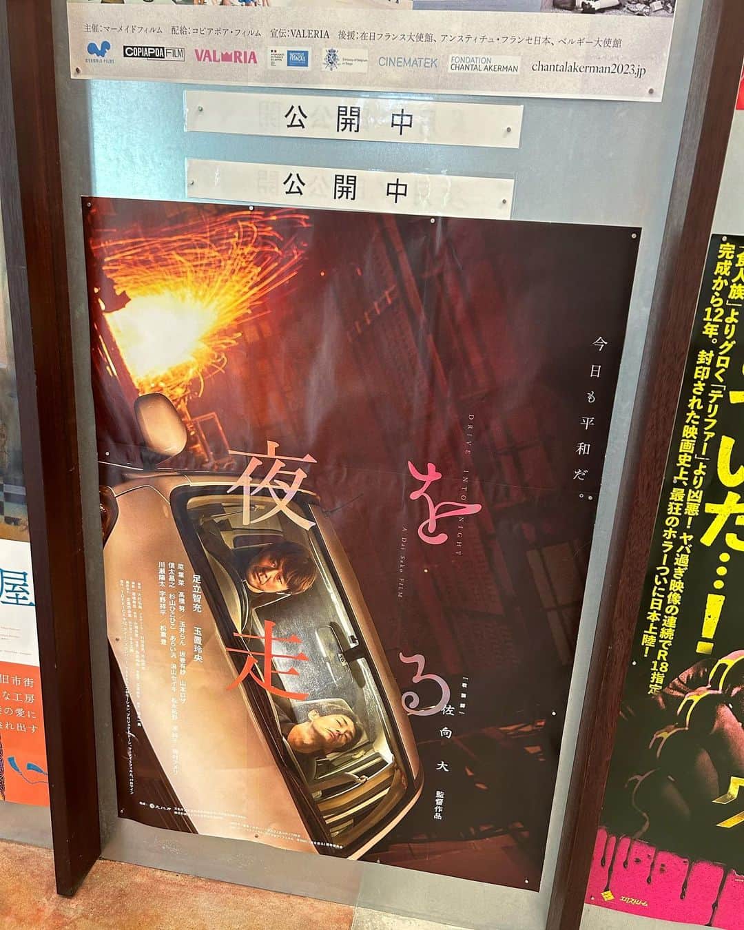 三輪記子のインスタグラム：「京都みなみ会館で映画『夜を走る』やってます。  オススメだから観てください、是非🙏  #夜を走る」