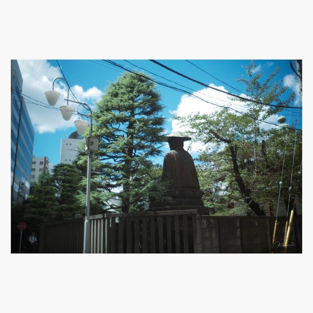 花澄さんのインスタグラム写真 - (花澄Instagram)「暑そうな背中。  Leica M10-P summilux 35mm f1.4 2nd  #leica#leicam10p#summilux#summilux35#summilux35mm2nd#oldlens#オールドレンズ#tokyo#japan#oldlens_tokyo#花澄#kazumiphotography」8月24日 13時35分 - textisan