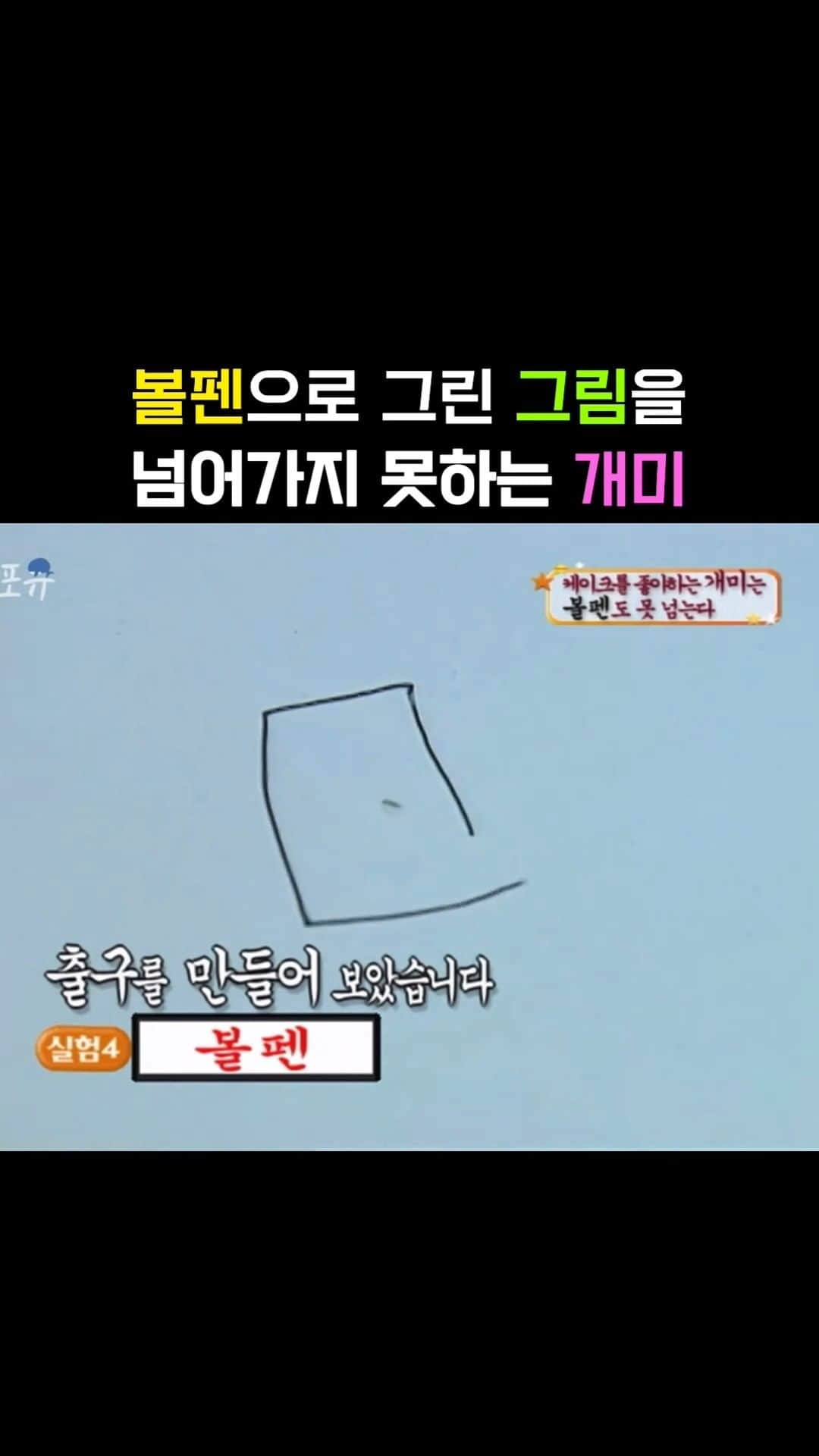 AS4Uのインスタグラム：「볼펜으로 개미 감옥을 만들 수 있다?!   ✅원본 영상➡️ https://youtu.be/3pok9_x3HUo ✳️회차정보: KBS 스펀지 040214  #애니멀포유 #스펀지 #개미 #볼펜 #강형욱」