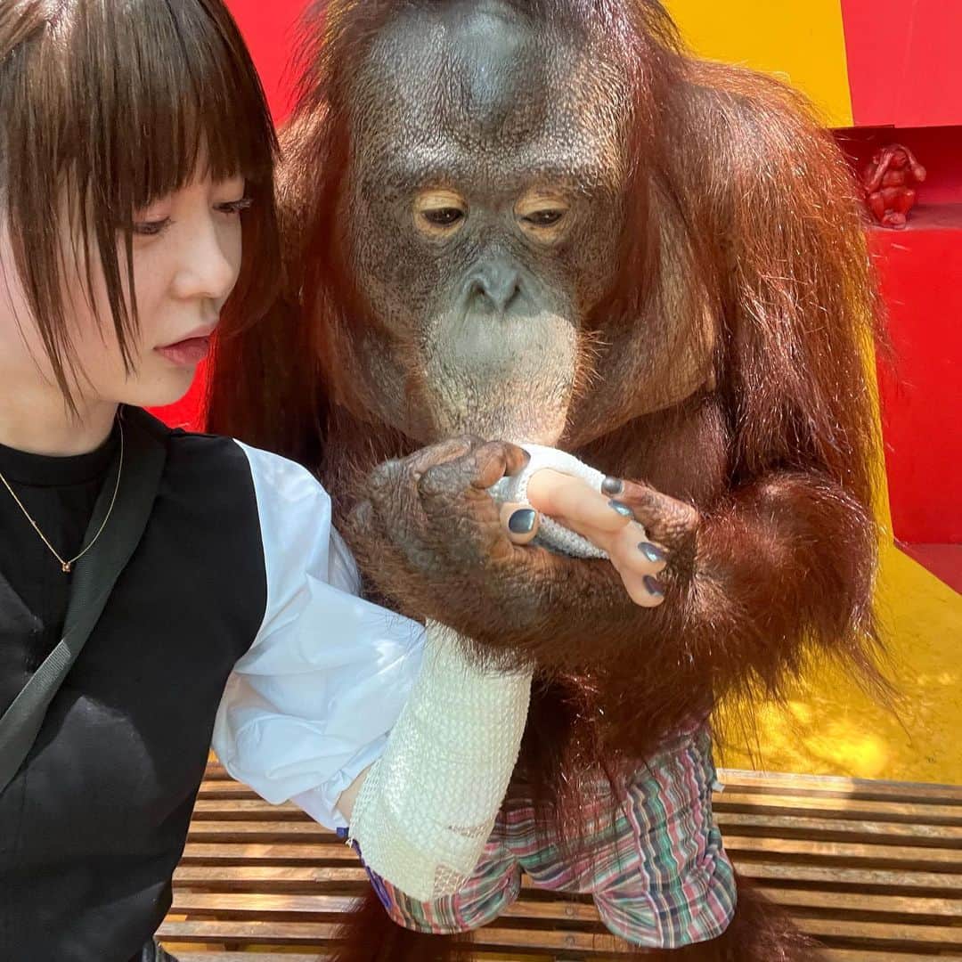 神堂きょうかさんのインスタグラム写真 - (神堂きょうかInstagram)「. 一瞬、腕へし折られると思ったけど. . . 紳士な対応でした。. . . inタイ🇹🇭 . . #タイ #動物園 #メンズegg表紙 #紳士 #といえども #メスである」8月24日 15時17分 - kyoka.san01