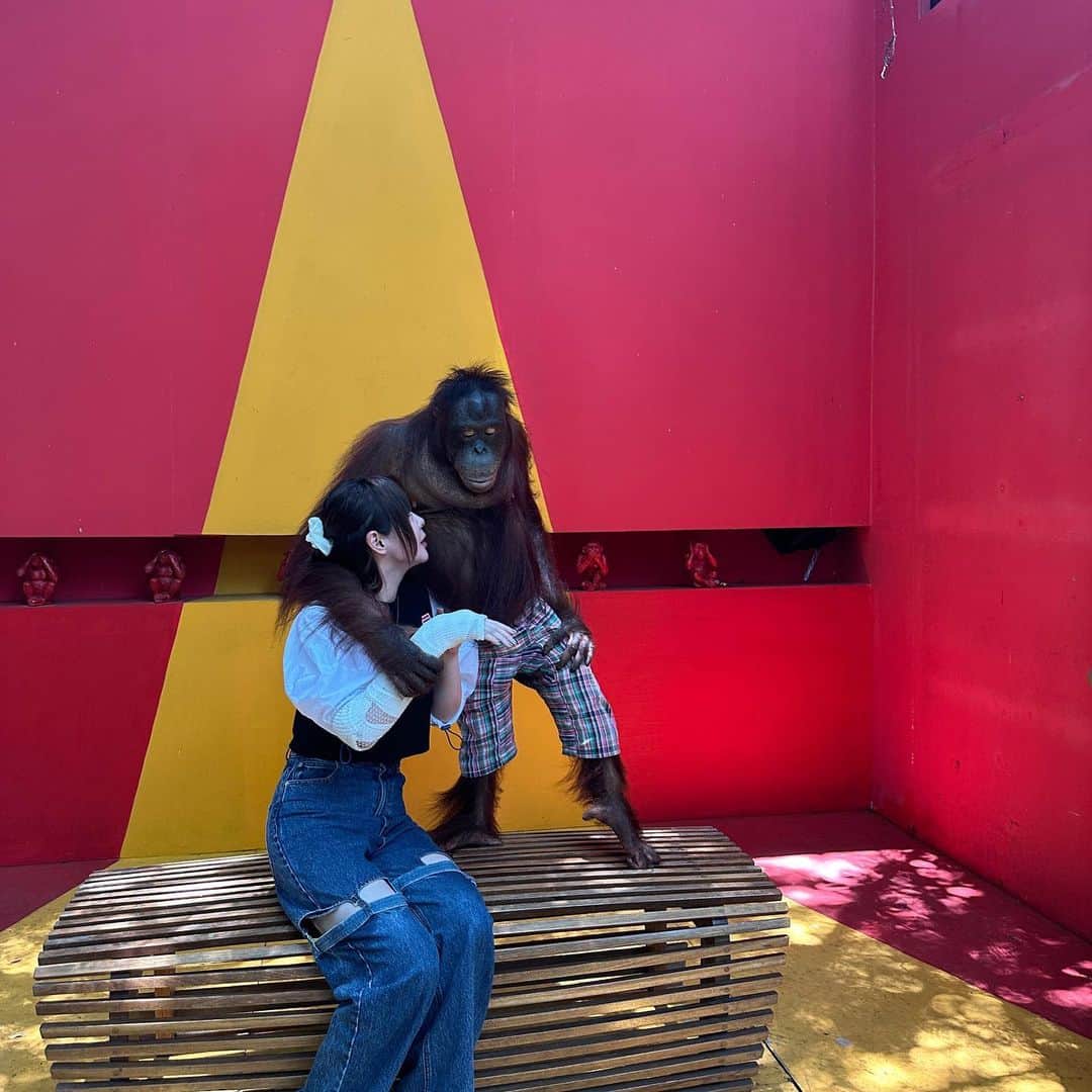 神堂きょうかさんのインスタグラム写真 - (神堂きょうかInstagram)「. 一瞬、腕へし折られると思ったけど. . . 紳士な対応でした。. . . inタイ🇹🇭 . . #タイ #動物園 #メンズegg表紙 #紳士 #といえども #メスである」8月24日 15時17分 - kyoka.san01