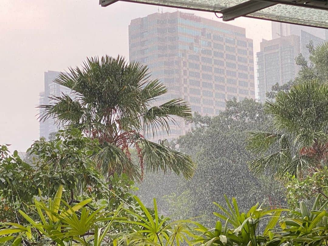 白木優子さんのインスタグラム写真 - (白木優子Instagram)「どこに行っても雨女発動中」8月24日 16時12分 - yuko_shiraki_official