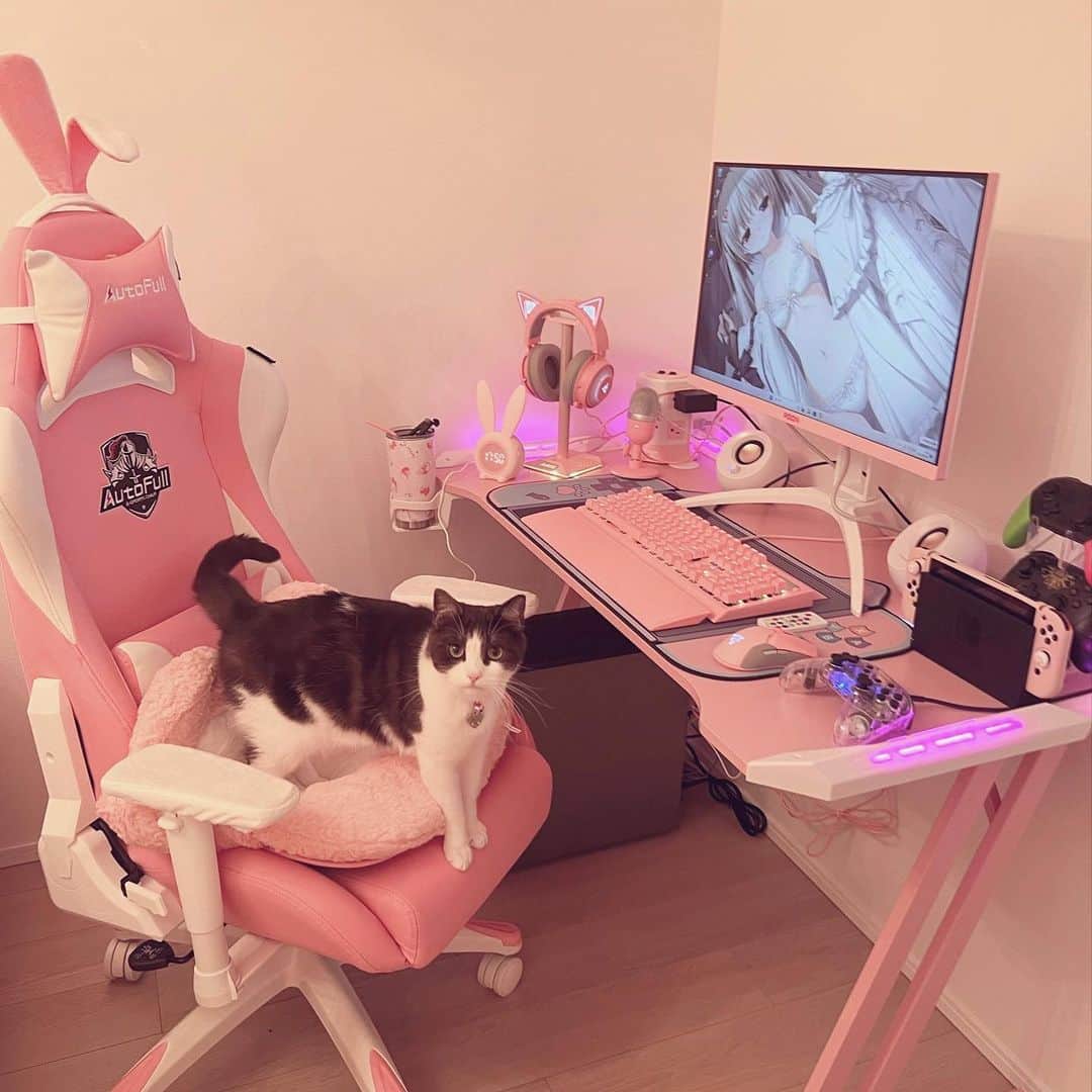 うさぎちゃんのインスタグラム：「ばろ始めたよん」