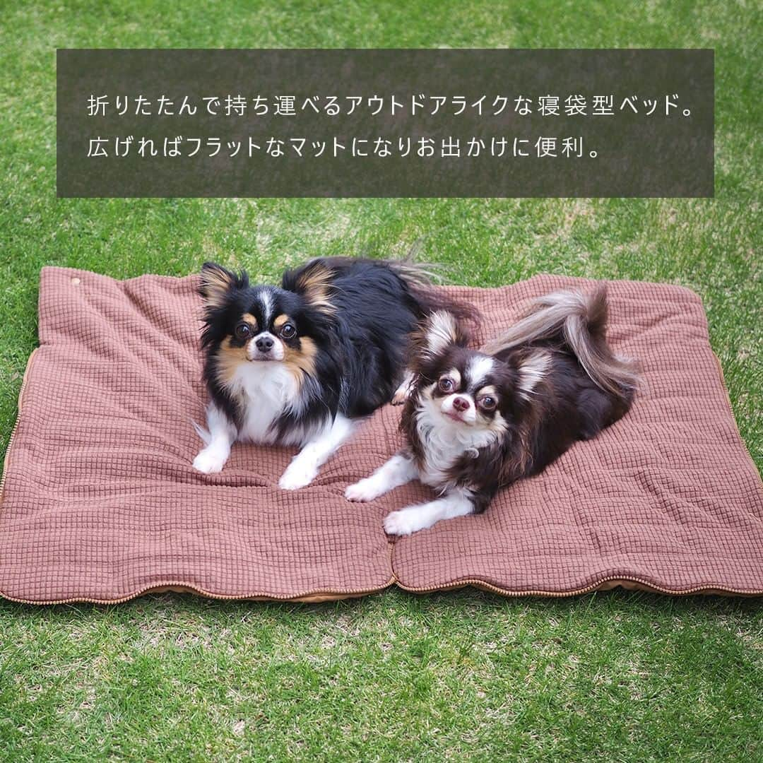 iDog&iCatさんのインスタグラム写真 - (iDog&iCatInstagram)「✨2023-24 AW COLLECTION✨ IDOG&ICATの新作秋冬ベッドコレクション発売中！  好評販売中の「シュラフ 収納ポーチつき」をご紹介いたします。  折りたたんで持ち運べるアウトドアライクな新作の寝袋型ベッド。 広げればフラットなマットになりお出かけに便利。  中にもぐって寝てみたり… 広げて敷いてみたり… ふんわり掛けてみたり… 畳んで持ち運んでみたり…  アウトドアにもおすすめの持ち運べるペット用シュラフです。  ダウンのようなキルティングデザインでカジュアルに仕上げました。 キャメル・モスグリーン・ライトグレージュの落ち着いた3カラーからお選びいただけます。  表地はサラリとしたポリエステル素材、裏地はブロックフリース素材を使用しました。 ブロックフリース素材は、起毛したブロックとブロックの間に起毛していない部分があります。 起毛していない部分から空気が通り抜けるため、通常のフリースより蒸れにくくなっています。 起毛部分で保温性を持たせつつ、起毛していない部分で通気性をもたせるのがブロックフリースの特徴です。 中には綿シートを入れ、保温性と適度な厚みをだしました。  上部のスナップボタンをとめると寝袋として、ジッパーを開くとマットとしてご使用いただけます。 小さく丸め付属の収納袋に入れ、持ち運びも便利なので、犬の旅行用ベッドとしても最適です。  ■商品紹介 16970　シュラフ 収納ポーチ付き 4,950円(税込) キャメル/モスグリーン/ライトグレージュ （約）幅60cm×奥行45cm / 収納ポーチ：（約）30cm×25cm  #IDOGICAT #犬の服IDOG #ICAT #IDOG #ドッグウェア #ペットウェア #犬服 #犬の服 #秋冬新作 #2023AW #犬 #猫 #新作 #新発売 #dog #cat #わんすたぐらむ #うちの子優勝 #秋冬 #新商品 #ペットベッド #寝袋 #ペットの寝袋 #シュラフ #アウトドア #おでかけ #犬用ベッド #猫用ベッド」8月24日 16時24分 - idogicat