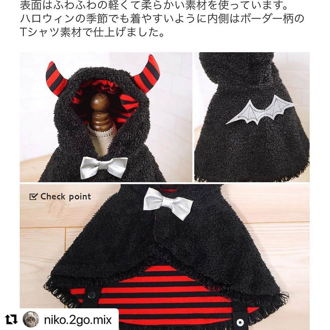 iDog&iCatさんのインスタグラム写真 - (iDog&iCatInstagram)「🎃愛犬、愛猫とのハロウィンはIDOG&ICATで🎃  お洋服が苦手な子にも着せやすい、ハロウィンケープが好評発売中です！ 本日は、モデルを務めているニコちゃんのお写真をご紹介いたします。  #Repost @niko.2go.mix 様 ・・・ ♢  小悪魔ニコ❤️  iDog&iCatさん（ @icat_catgoods @idogicat ）のお仕事でハロウィン用ケープの撮影をしました🎃👻🎃  デビルケープ　2,860円（税込）  羽織るだけなので、お洋服に慣れていない猫ちゃんも着用しやすいコスチュームウェアです。お腹のベルトでずれることもありません。  今年のハロウィンは小悪魔ケープでおめかしして、ちゅーるパーティーに参加するにゃ😈  #idogicat #icat #catmodel #sakuraquiet #singapuracat #devonrex  #シンガプーラ #デボンレックス#德文卷毛猫 #新加坡猫 #猫好きさんと繋がりたい#モデル猫 #猫モデル #ハロウィン猫 #ハロウィンにゃんこ  #idogicat #犬の服idog #icat #犬服 #コスチューム #idogハロウィン」8月24日 16時42分 - idogicat