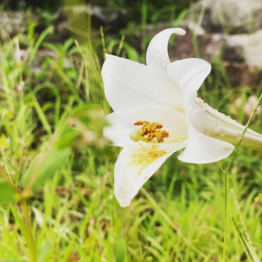 小山田大さんのインスタグラム写真 - (小山田大Instagram)「It's my birthday and I'm 47 years old. I'm sad about getting older, but I'm grateful that I've been able to live a healthy life, and I'm grateful that my body is still moving.  47歳の誕生日を迎えました。 歳を取るというのは悲しいけれど、ここまでそこそこに健康でいれた事に感謝して、まだそこそこに動く身体にも感謝したい。」8月24日 17時27分 - dai_koyamada