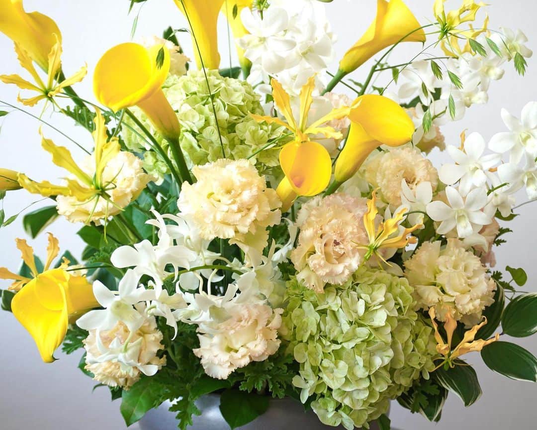 AOYAMA_HANAMOのインスタグラム：「豊かに咲いた、明るく柔らかいトーンの花々。 ・ 黄色のカラーやグロリオサ、アプリコット色のトルコキキョウ、淡いグリーンのハイドランジア、白いデンファレ…。それぞれの花々の個性を生かし、あふれるようにたっぷりとレイアウトしたアレンジメントです。 花色の繊細な美しさが際立つよう、花の向きにもこだわって上品に仕上げました。 ・ 1年を通して生花店で見かける、切り花の蘭・デンファレ。正式名称の「デンドロビウム・ファレノプシス」を略して、“デンファレ”と呼ばれています。 インドネシアが原産で、1本の細い茎に連なるように花をつける可憐な花姿が特徴です。ピンクや紫、グリーン、濃い色から淡い色までさまざまな花色があります。ハワイの伝統的な花飾り「レイ」の材料としても有名ですね。 暑い夏でも比較的日持ちがよいので、この時期ご自宅に飾る花としてもおすすめです。 ・ 商品名：アレンジメント＜アマルフィ＞ - - - #aoyamahanamo #青山花茂 #お花のある生活 #花が好きな人と繋がりたい #花を飾ろう #花のある暮らし #花のあるくらし #花のある日常 #癒しの花 #季節の花 #旬の花 #花とおうち時間 #花贈り #フラワーギフト #花の贈り物 #カラー #トルコキキョウ #リシアンサス #ハイドランジア #アジサイ #紫陽花 #デンファレ #グロリオサ #グリーンスケール #ゼラニウム #アレンジメント #フラワーアレンジメント #夏のアレンジメント #夏のフラワーギフト」