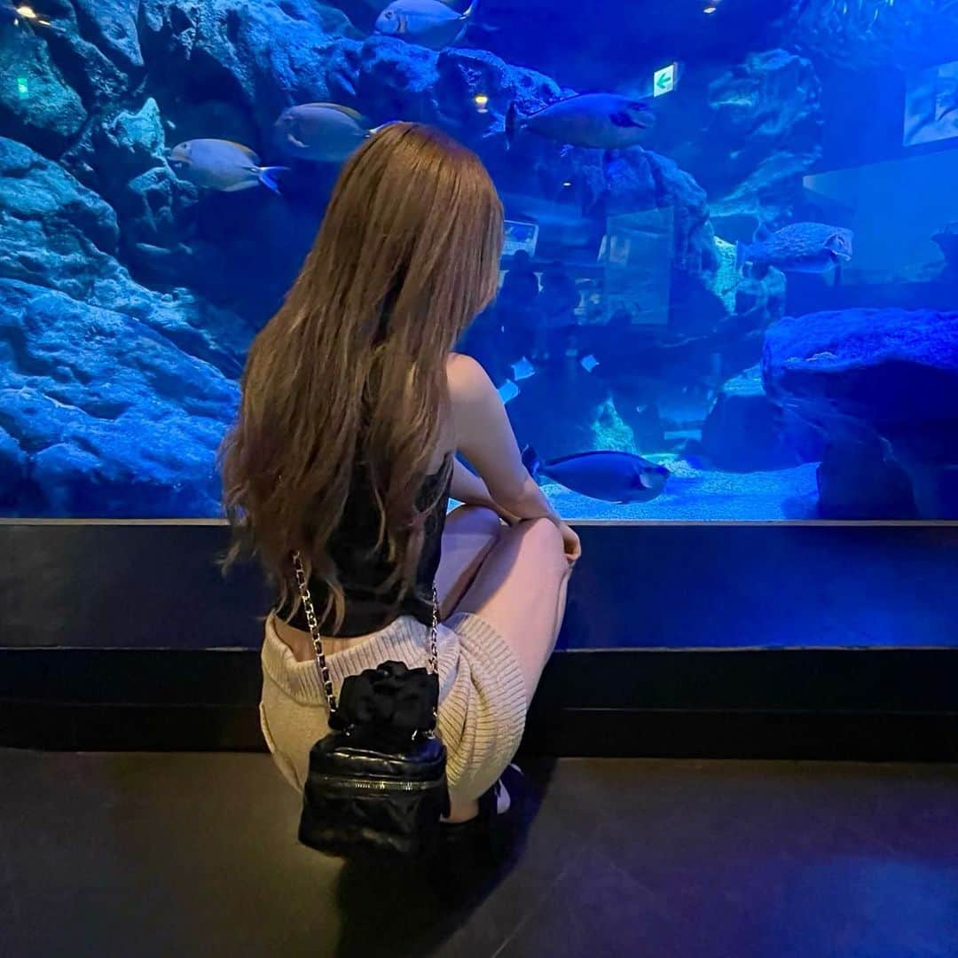 平野夢来（ゆぴぴ）のインスタグラム：「. . . 何年振りの水族館~くらげさんかわちぃ🪼🪼 タイミング良くイルカショーも見れちゃってウキウキでした＾＾」