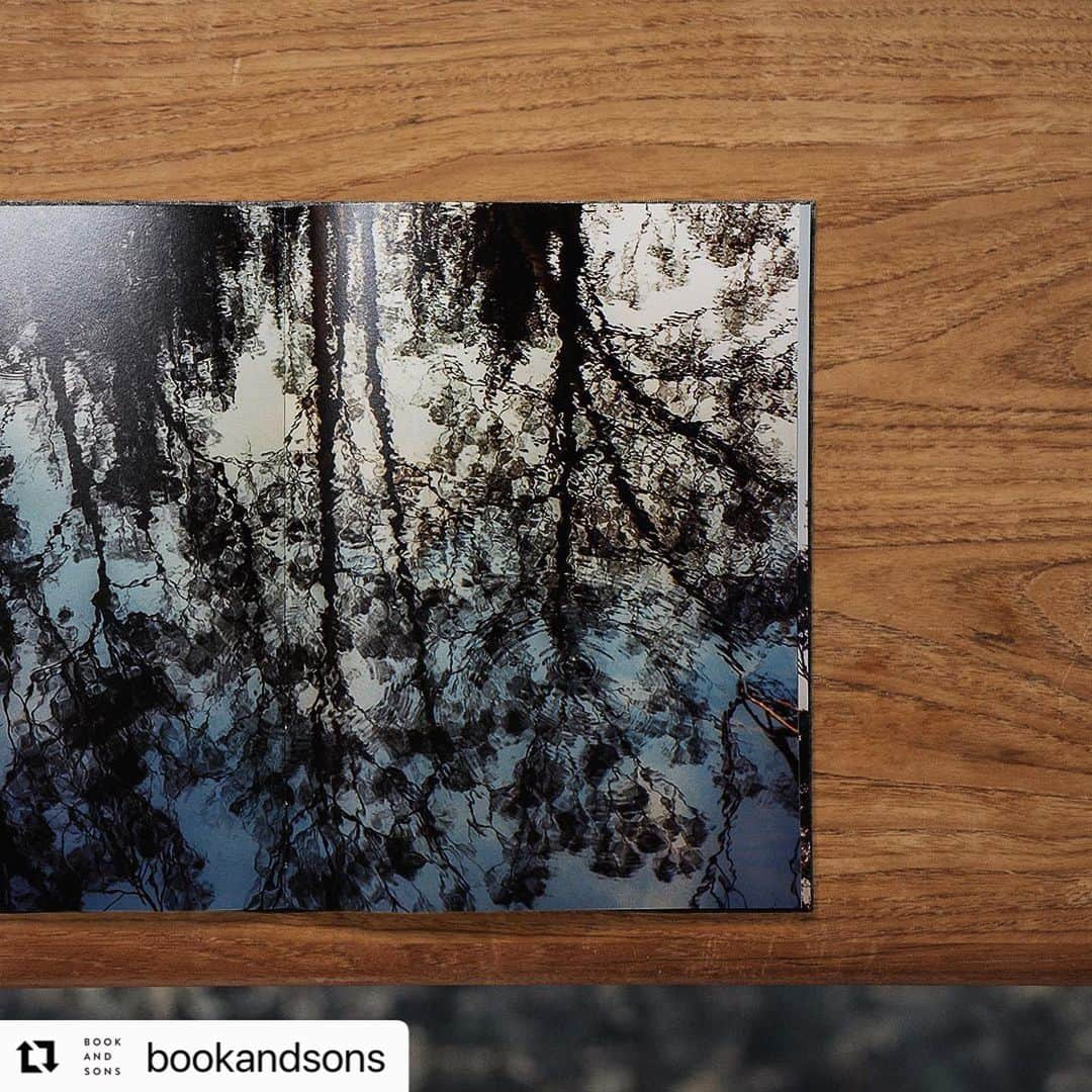 柏田テツヲさんのインスタグラム写真 - (柏田テツヲInstagram)「#Repost @bookandsons with @use.repost ・・・ 写真家・柏田テツヲによる、2019年から2020年にかけて発生したオーストラリアの大規模森林火災をドキュメントした写真集。森は焼け落ち、人も動物の気配も無い静まり返った森。舞い上がった灰で空が覆われ、色が抜け落ちた世界。厳然たる自然の美しさ、生命力に感情を揺さぶられる一冊となっています。  #IntotheGray#Selfpublished#design #art #graphic #photo #photograph #designbook #artbook #photobook #photographer」8月24日 18時16分 - tetsuokashiwada