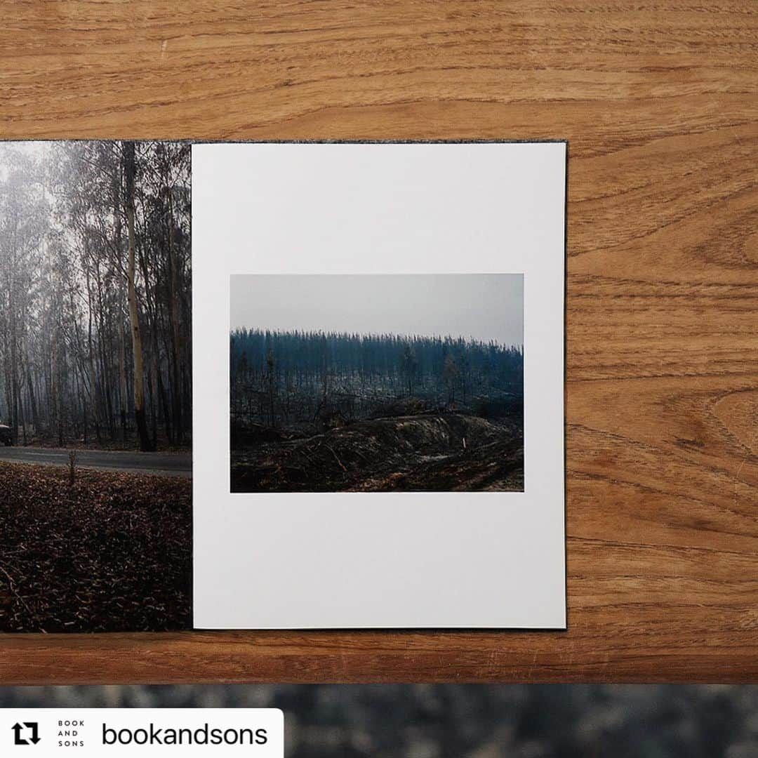 柏田テツヲさんのインスタグラム写真 - (柏田テツヲInstagram)「#Repost @bookandsons with @use.repost ・・・ 写真家・柏田テツヲによる、2019年から2020年にかけて発生したオーストラリアの大規模森林火災をドキュメントした写真集。森は焼け落ち、人も動物の気配も無い静まり返った森。舞い上がった灰で空が覆われ、色が抜け落ちた世界。厳然たる自然の美しさ、生命力に感情を揺さぶられる一冊となっています。  #IntotheGray#Selfpublished#design #art #graphic #photo #photograph #designbook #artbook #photobook #photographer」8月24日 18時16分 - tetsuokashiwada