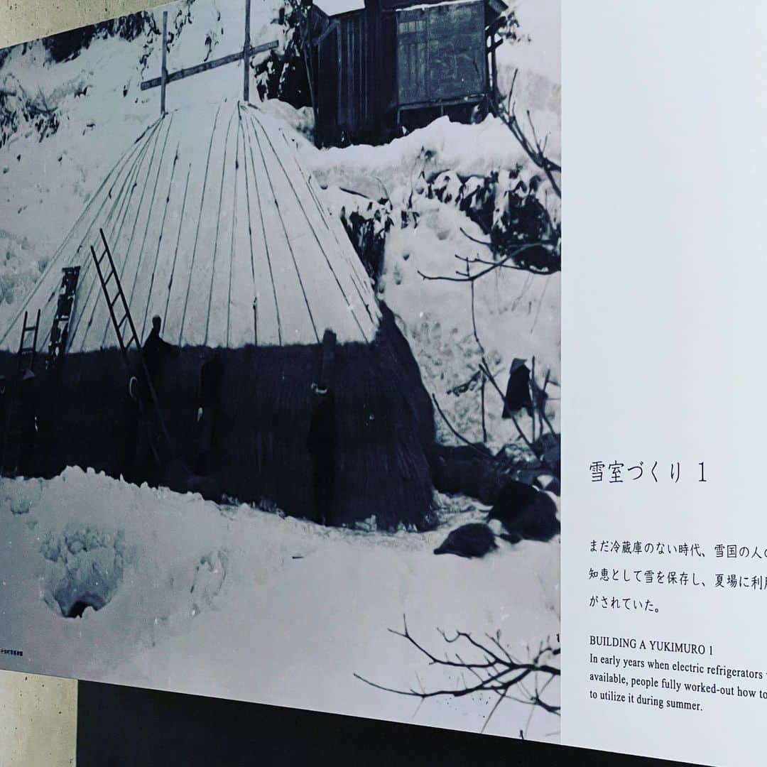 難波章浩さんのインスタグラム写真 - (難波章浩Instagram)「前澤友作くんと @yusaku2020  新潟は南魚沼にある八海山酒造さま @hakkaisan_1922  に訪問させていただきました‼️✨  南雲さんと覺張（がくはり）さんに広大な敷地にある色々な施設やお店をご案内して頂いたのですが、冬に積もった雪を重機で貯蔵庫に集めクーラーを使わずに一年中冷たい空間を保つ"雪室"の技術には驚きました！   八海山酒造の伝統を守りながら新しい技術や商品を開発し、新潟から世界へ発信していく姿勢にめちゃ刺激をもらいました🍶✨  南雲さん、がくはりさん、矢野さん、八海山酒造さま、本当にありがとうございました‼️‼️✨✨✨  #八海山 #八海山酒造 #ライディーンビール  #ハスキージェラート  @huskygelato  #魚沼 #新潟」8月24日 18時22分 - akihironamba