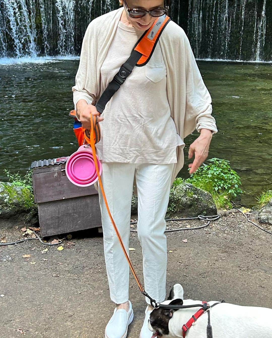 安藤優子さんのインスタグラム写真 - (安藤優子Instagram)「リンの夏休み便りその6❣️  おかーさんたちが帰って来てから、白糸の滝に行ったよ。  すごーく涼しくてびっくりした。（笑）  いっぱいわんこさんたちにあいさつもできたよー！  白糸の滝、すんごいいっぱい人がいたけど、ひんやりしていて最高だったよ。  おかーさんいわく「軽井沢に来たらベタでも白糸の滝は外せないのよねー」ってさ。（笑）  アタシはクン活ばかりしてたけどね。（笑）  以上、ベタな現場を好むかーさんのそばからお伝えしました!  by リンゴ  #白糸の滝   #フレンチブルドッグ  #安藤優子」8月24日 18時55分 - yukoando0203