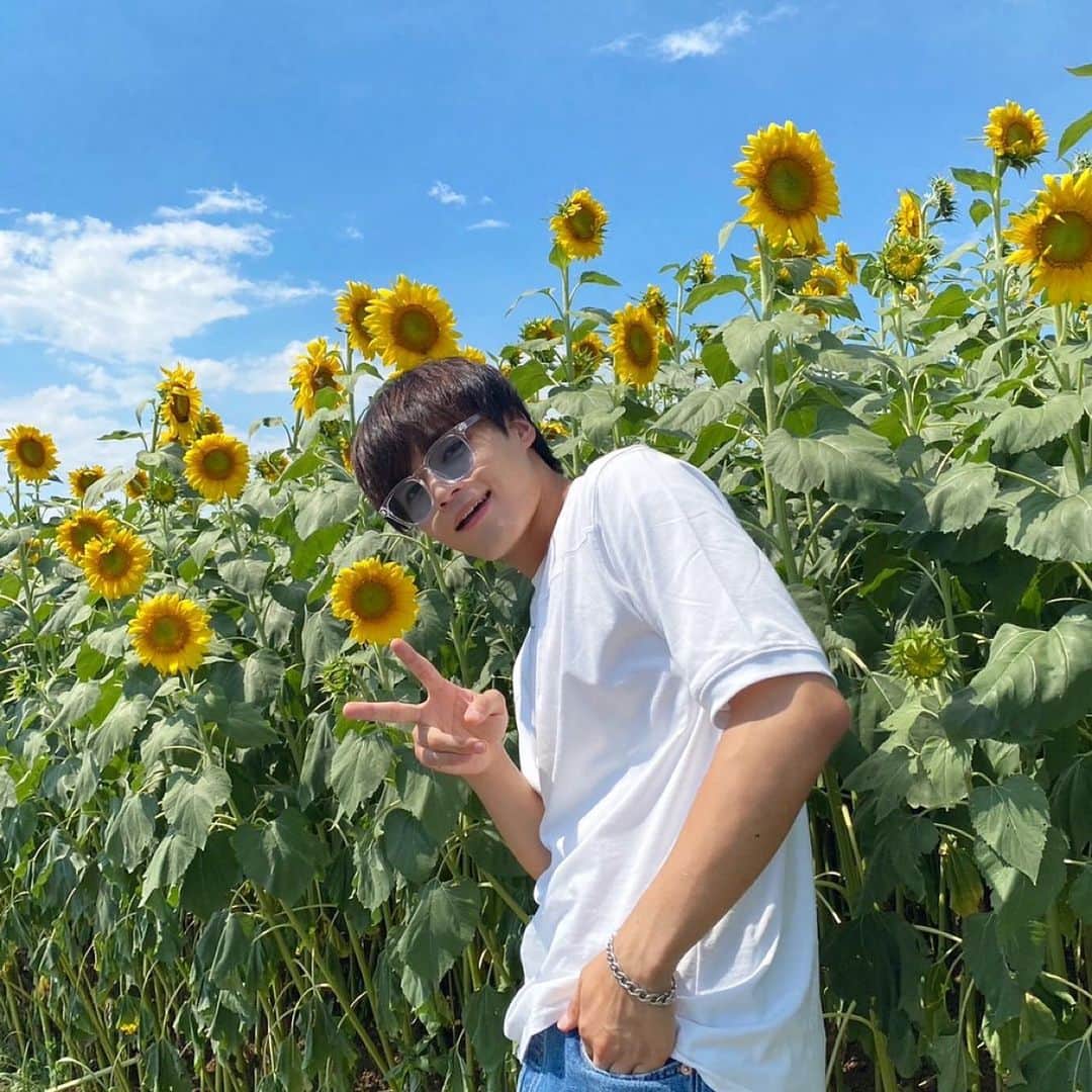 瀬戸郁成さんのインスタグラム写真 - (瀬戸郁成Instagram)「. ひまわり畑行ってきました🌻 みんななんのお花が好きですか?   #04  #fyp #ひまわり  #山梨」8月24日 19時08分 - seto_ikusei_