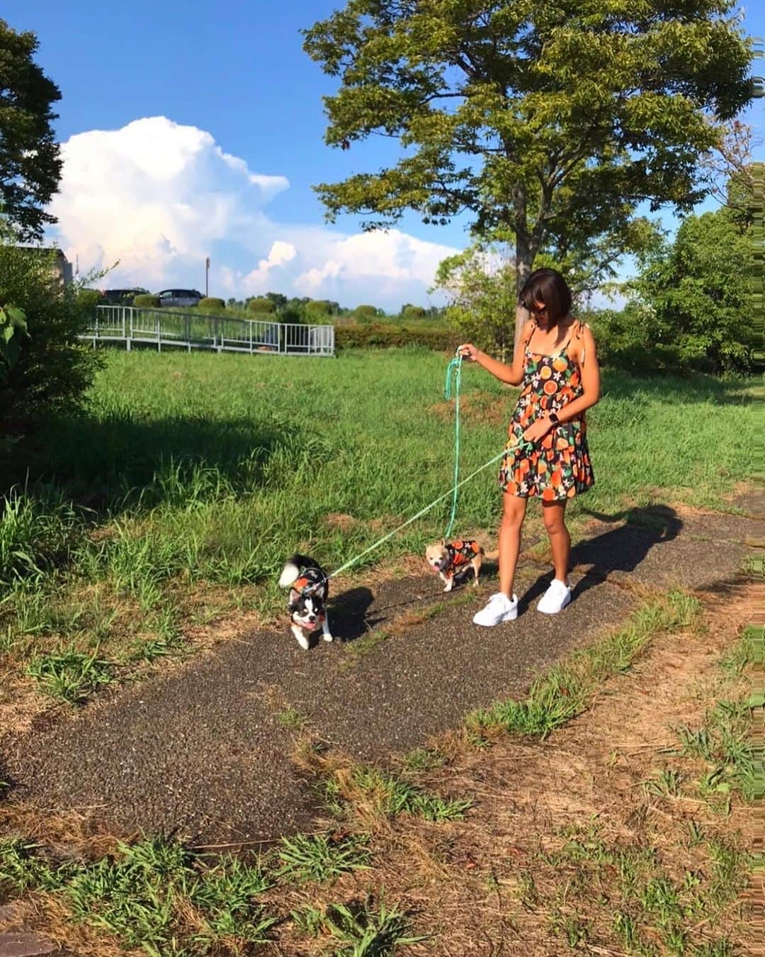 奥野由さんのインスタグラム写真 - (奥野由Instagram)「愛犬とオソロ🍊  #チワワ」8月24日 19時50分 - __yuu___