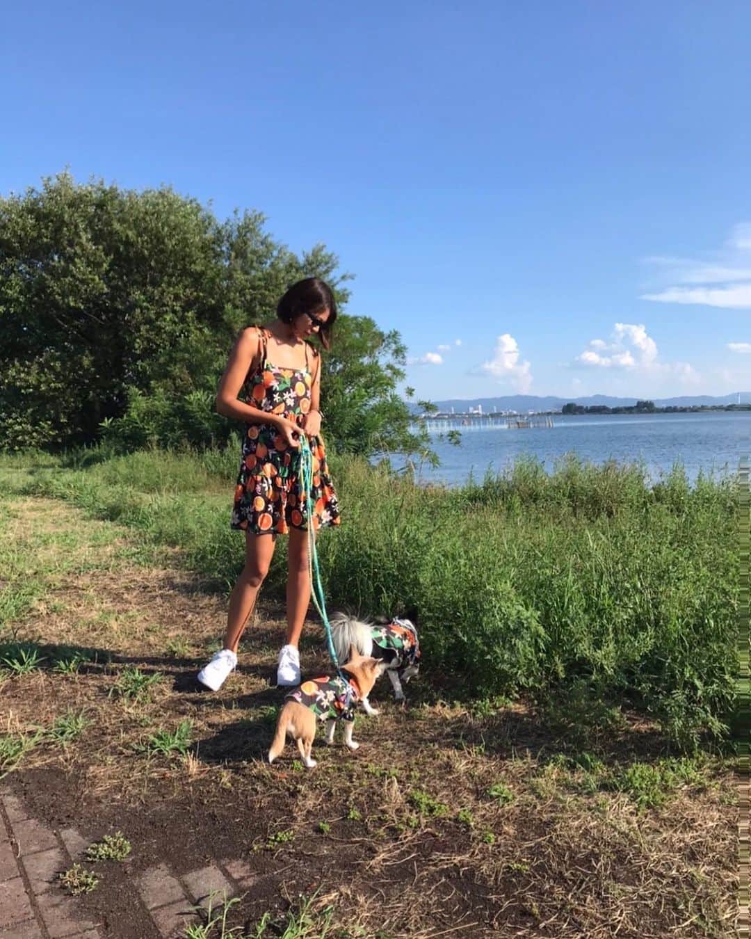 奥野由のインスタグラム：「愛犬とオソロ🍊  #チワワ」