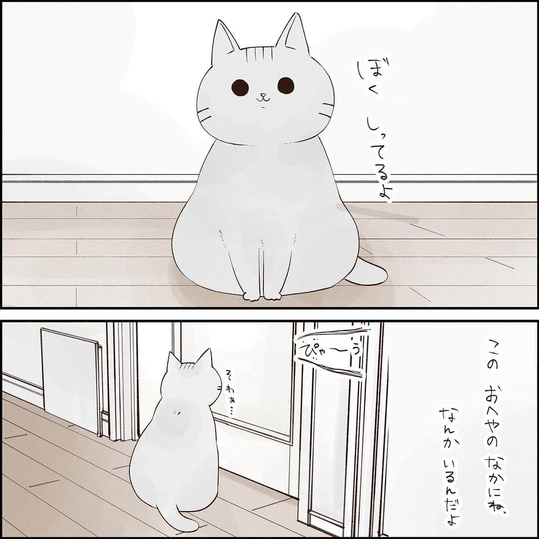 こじめのインスタグラム：「【もひもひ】 4枚目に実際のもひもひ動画載せておきます🥰  ムニちゃんが来た日の夜からの出来事。  扉の下に1.5センチくらいの隙間が空いてるんですが、  そこに鼻を突っ込んでもひもひもひもひ。  可愛かった〜( ´∀｀)  #猫漫画 #にゃんすたぐらむ  #保護猫 #灰猫 #サバ白 #コミックエッセイ #エッセイ漫画 #猫のいる暮らし #catcomic」