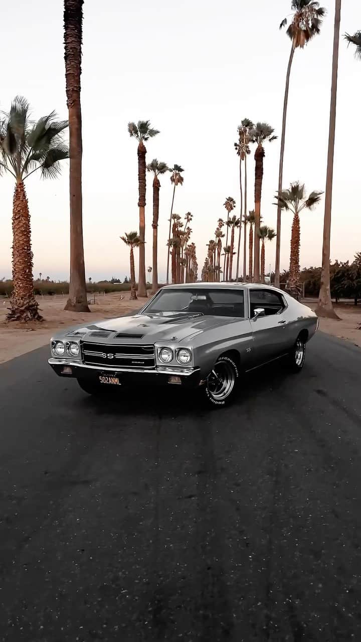 CarsWithoutLimitsのインスタグラム：「Big Block Chevy @502anml   #cars #carlifestyle #carstagram #carsofinstagram #supercar #supercars #cars #car #carspotter #carsofinsta #lapsoflux #carswithoutlimits #reels #reel #reelsinstagram #viral #viralvideos #viralpost #wow #chevy #bigblockchevy」