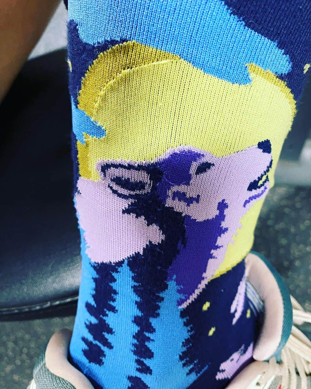 スタナ・カティックのインスタグラム：「Little bit of a grind to get going today… loads of excuses… BUT!!! I got a good push from my better half, donned my Wolf Howl socks & hit the road.  And guess what?!!! Shaved ONE MINUTE off my time!!!  I hope you’re all feeling benefits from your #AFitterFunnerMe path. Together #WeGotDis 💪🏽💪🏽.」