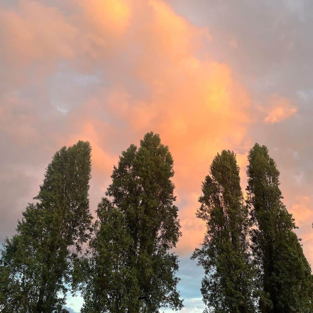 渡辺梨加のインスタグラム：「晴れた日の夕焼けすき🪐」