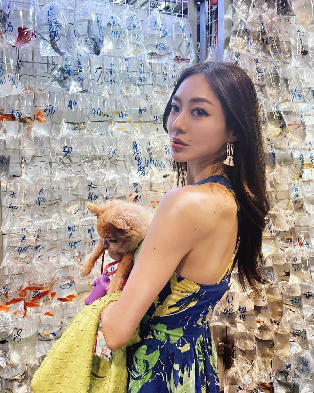 松岡李那のインスタグラム：「Nostalgic🥹 香港🇭🇰金魚街  #hongkong  #香港  #金魚街」