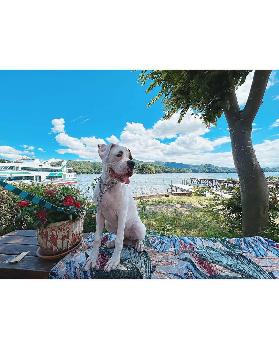 juntowaさんのインスタグラム写真 - (juntowaInstagram)「長野にランチしに行ってきたよ。#夜行日帰り#黒姫高原#野尻湖#小林農園」8月24日 22時08分 - juntowa