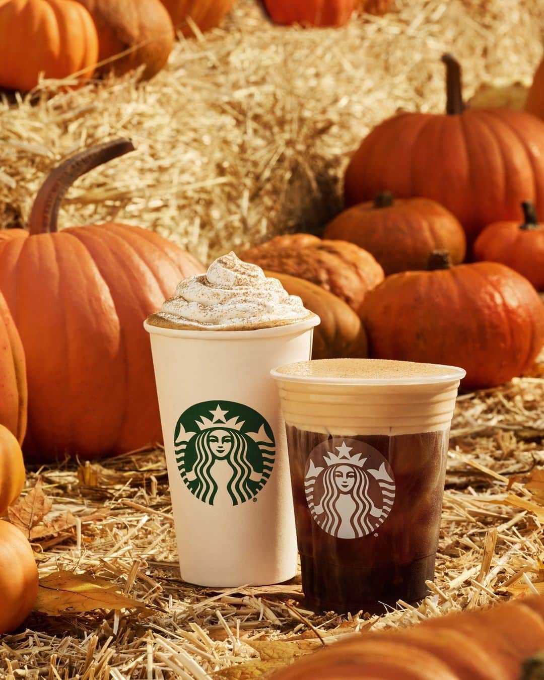 Starbucksのインスタグラム：「Reentering our pumpkin era. 🎃✨ Pumpkin Spice Latte and Pumpkin Cream Cold Brew are back!」