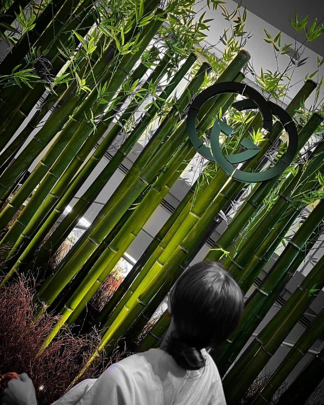 松原梨恵さんのインスタグラム写真 - (松原梨恵Instagram)「🎋🤎🎋  #bamboo #バンブー #竹」8月24日 23時06分 - erierie38