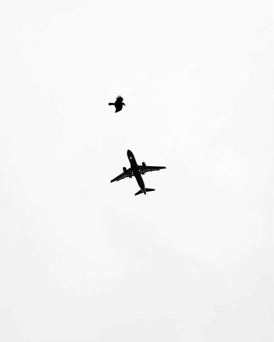 ライカさんのインスタグラム写真 - (ライカInstagram)「Wings in the sky  Grzegorz Bys (@bys_grzegorz) using expressing with monochrom. What do you think about the contrast between nature & mankind?  📷: @bys_grzegorz #LeicaCamera #Leica #🔴📷」8月24日 23時00分 - leica_camera