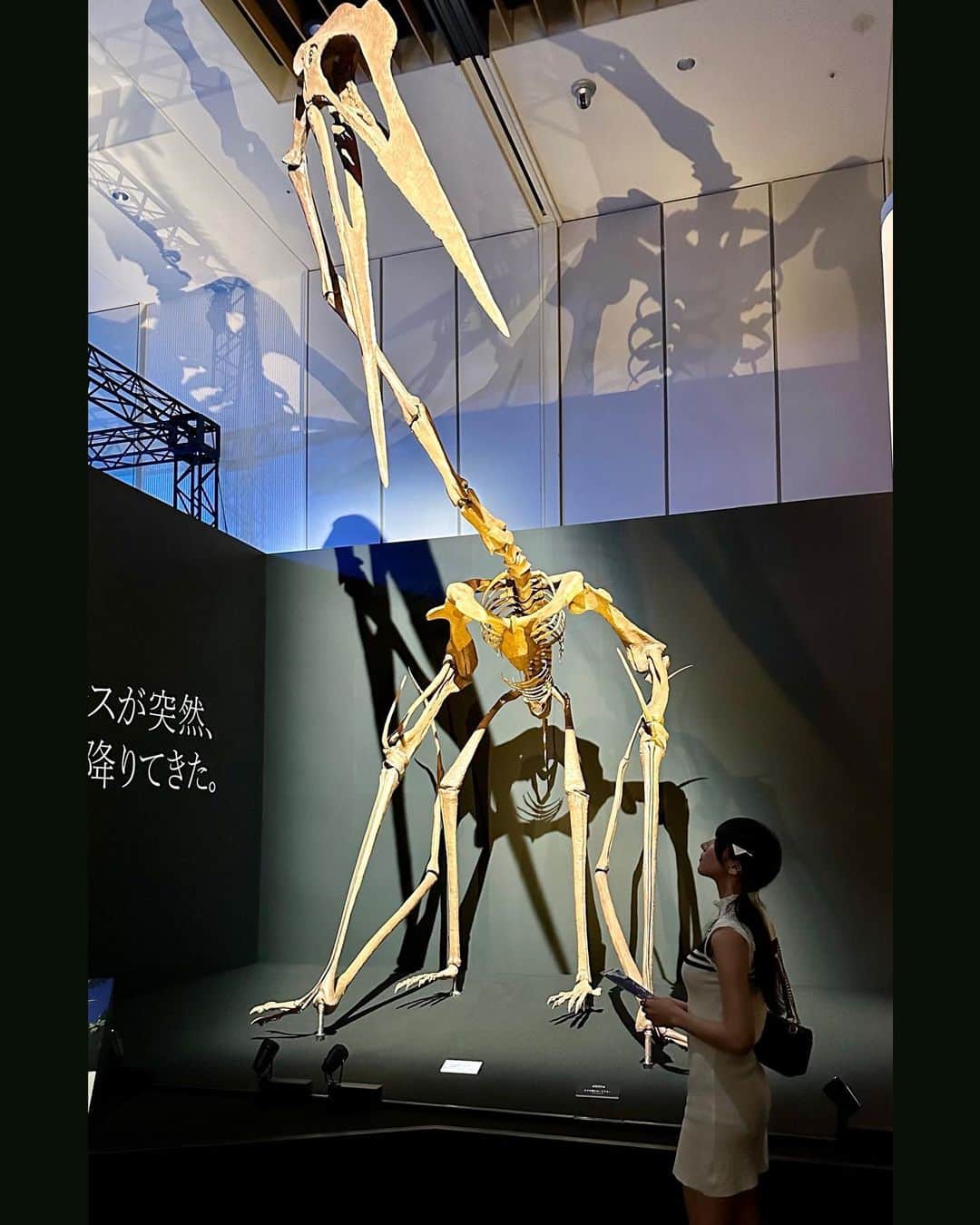 てーらのインスタグラム：「#tokyomidtown  #恐竜科学博」