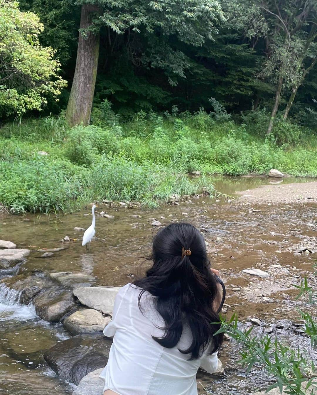 ウォン・ジナのインスタグラム：「🦢🌳」