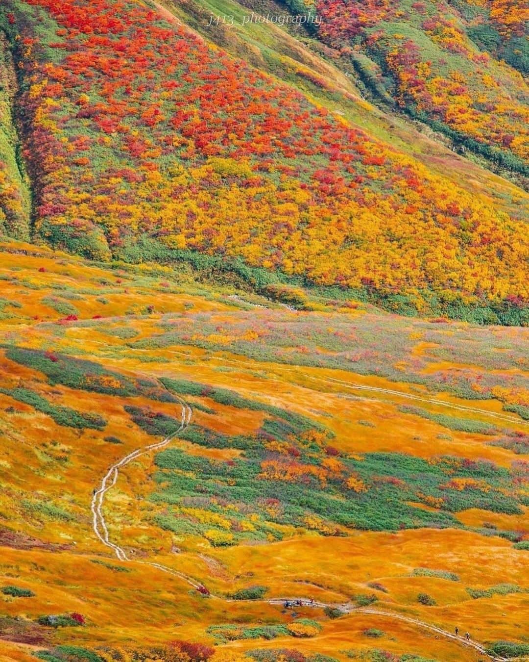 登山*トレッキング*アウトドア『.HYAKKEI』さんのインスタグラム写真 - (登山*トレッキング*アウトドア『.HYAKKEI』Instagram)「地上ではまだまだ暑い日が続きますが、 山では秋の気配を感じるようになりました。 今回はフォロワーさんイチ押しの紅葉の素晴らしい山をご紹介いたします！ 今年こそ遠征して、この景色を肉眼で見たいものです😊 詳細は下記の通りです。 ※去年のお写真です！紅葉はまだですよー😌 ※記載は例年の紅葉時期です。  1、栗駒山／くりこまやま 　　紅葉時期: 9月中旬～10月中旬 2、月山／がっさん 　　紅葉時期: 9/中～10/末 3、安達太良山／あだたらやま 　　紅葉時期: 9/末～10/末 4、三ツ石山／みついしさん 　　紅葉時期: 9/中～ 5、秋田駒ヶ岳／あきたこまがたけ 　　紅葉時期: 9/中～10/上  Special　thanks！！ 1.  @kumiko_naru  さん 2.  @j413_photography  さん 3.  @peanutsaya  さん 4.  @tkn_mt さん 5,  @manastash.boy.t . さん  #hyakkeime #登山 #トレッキング #山登り #紅葉」8月24日 23時56分 - hyakkei_me