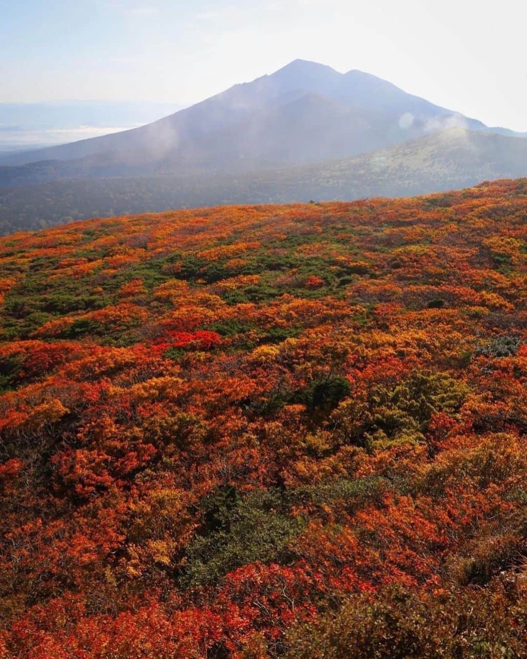 登山*トレッキング*アウトドア『.HYAKKEI』さんのインスタグラム写真 - (登山*トレッキング*アウトドア『.HYAKKEI』Instagram)「地上ではまだまだ暑い日が続きますが、 山では秋の気配を感じるようになりました。 今回はフォロワーさんイチ押しの紅葉の素晴らしい山をご紹介いたします！ 今年こそ遠征して、この景色を肉眼で見たいものです😊 詳細は下記の通りです。 ※去年のお写真です！紅葉はまだですよー😌 ※記載は例年の紅葉時期です。  1、栗駒山／くりこまやま 　　紅葉時期: 9月中旬～10月中旬 2、月山／がっさん 　　紅葉時期: 9/中～10/末 3、安達太良山／あだたらやま 　　紅葉時期: 9/末～10/末 4、三ツ石山／みついしさん 　　紅葉時期: 9/中～ 5、秋田駒ヶ岳／あきたこまがたけ 　　紅葉時期: 9/中～10/上  Special　thanks！！ 1.  @kumiko_naru  さん 2.  @j413_photography  さん 3.  @peanutsaya  さん 4.  @tkn_mt さん 5,  @manastash.boy.t . さん  #hyakkeime #登山 #トレッキング #山登り #紅葉」8月24日 23時56分 - hyakkei_me