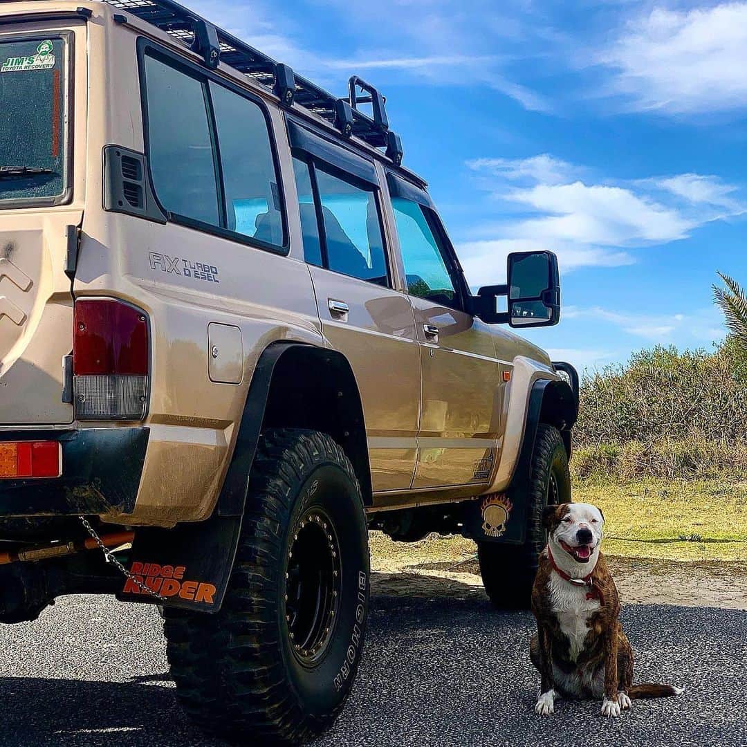 Nissanさんのインスタグラム写真 - (NissanInstagram)「There isn't a more iconic duo than dogs and cars 🐶  Celebrate the #InternationalDogDay and comment the name of your dog and the Nissan model that you drive 👀  #Nissan #NissanPatrol #NissanRogue #DogDay #Dogs #DogLover #CarLover  📸: @thearkhamaussies @apollosadventures17 @goldennugget_gq」8月26日 23時30分 - nissan