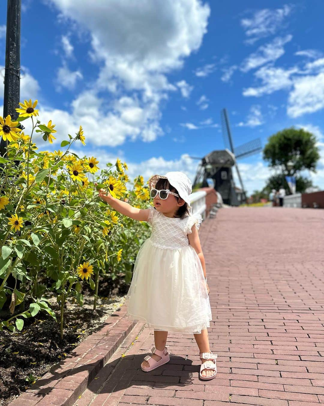 真麻さんのインスタグラム写真 - (真麻Instagram)「長崎ハウステンボス旅行✈️🌻✨️娘の誕生日終わってから仕事に追われて投稿する余裕なかったです(笑)夏が終わる前に投稿しなきゃ🤣 ✩.*˚ 暑かった、とにかく歩けば汗だく…都内より体感暑かったよ？なので思ったより写真撮って来れなかったかも💦ポイントだけ押さえて😅真夏のハウステンボスはひまわりがとても綺麗だし映える💕夏生まれの娘とマッチしてる〜👏 ✩.*˚ 暑さのせいか、娘も早めに昼寝したり…でもベビーカーで寝かすのも熱中症にならないか？不安で、寝てる間はレストラン入って親だけご飯してた(￣▽￣;)そんな休憩挟みつつの観光📸 ✩.*˚ ✩.*˚ ✩.*˚ #ハウステンボス #長崎観光 #長崎旅行 #初めての飛行機 #飛行機デビュー #2歳誕生日 #誕生日旅行 #令和3年8月ベビー #8月6日 #家族旅行👪」8月25日 2時44分 - masaaoyama3