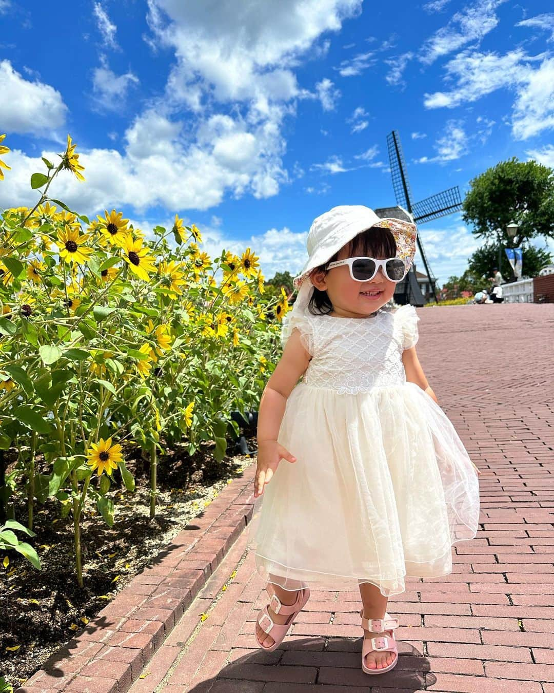 真麻さんのインスタグラム写真 - (真麻Instagram)「長崎ハウステンボス旅行✈️🌻✨️娘の誕生日終わってから仕事に追われて投稿する余裕なかったです(笑)夏が終わる前に投稿しなきゃ🤣 ✩.*˚ 暑かった、とにかく歩けば汗だく…都内より体感暑かったよ？なので思ったより写真撮って来れなかったかも💦ポイントだけ押さえて😅真夏のハウステンボスはひまわりがとても綺麗だし映える💕夏生まれの娘とマッチしてる〜👏 ✩.*˚ 暑さのせいか、娘も早めに昼寝したり…でもベビーカーで寝かすのも熱中症にならないか？不安で、寝てる間はレストラン入って親だけご飯してた(￣▽￣;)そんな休憩挟みつつの観光📸 ✩.*˚ ✩.*˚ ✩.*˚ #ハウステンボス #長崎観光 #長崎旅行 #初めての飛行機 #飛行機デビュー #2歳誕生日 #誕生日旅行 #令和3年8月ベビー #8月6日 #家族旅行👪」8月25日 2時44分 - masaaoyama3