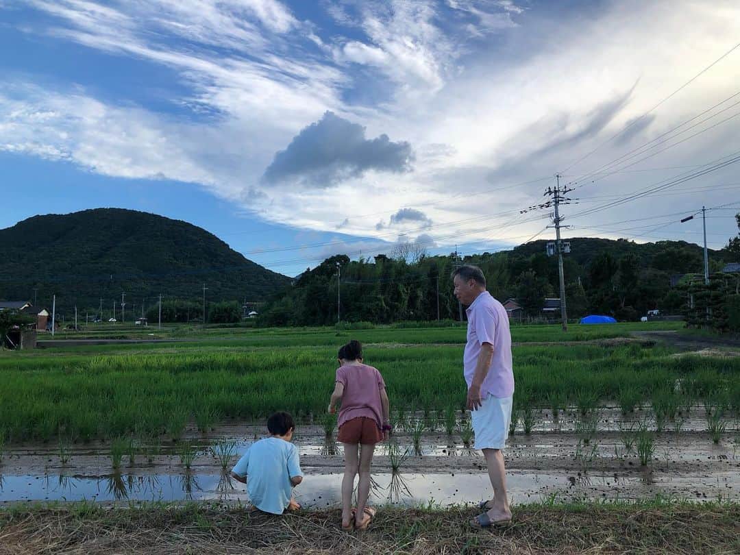 日登美のインスタグラム：「Summer holiday memories.  日本の家族と過ごす夏休み。 気づけば八年ぶりに兄妹 揃った今年。 何十年も変わらない実家の田舎 スイカに甲子園 お盆のお墓掃除 いとこと雑魚寝する夜 母屋に水田 夜の花火 私が子供の頃から変わらずある 夏休みの風景。 全てが愛おしい夏。 今もこうして紡げていることに 心からありがとう🙏」