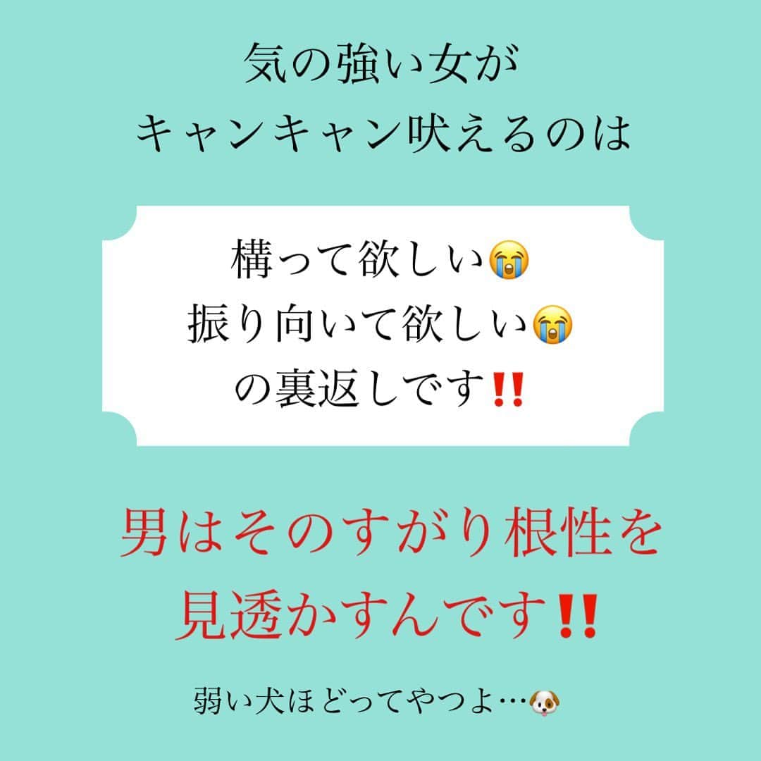 神崎メリさんのインスタグラム写真 - (神崎メリInstagram)「恋愛本書いてる人です☞ @meri_tn ⁡ ⁡ 「雑な扱いする男なんて 別に一緒いる必要 ないんだけど…w」 ⁡ 「なるほど、 謎の理由でドタキャンねーw 『了解✨』だけ返して しばらくほっとこ〜🥱』 ⁡ からの↓ ⁡ 『「今夜やっぱ家泊めて」 ってLINEきてるけど いーやー 返事明日にしよ！ 私も飲んでるしw』 ⁡ ⁡ ⇧これは芯の強さ 私が一番根性 ⁡ ⁡ ⁡ 「どうして優しく してくれないわけ😭 私に冷めたの？ 他にすきな人できたの？」 ⁡ ⁡ 「ドタキャンとか マジでいい加減にして💢 雨の日出かけたくないだけでしょ！ 最近、ユーセンジュンイ 下げすぎなんだけど💢」 ⁡ ↓からの ⁡ 「終電ないから家泊めて？ いいよいいよいいよ🥹」 ⁡ と飲み会から即帰宅。 ヨシオは家にくるなり 爆睡でイライライライラ💢 ⁡ ⁡ ⇧これは気の強さ すがり根性 ⁡ ⁡ どちらの女を 追いかけたくなるかは 一目瞭然😶 ⁡ ⁡ ⁡ 男を変えるには 100のガミガミより サッと丁寧に距離置き ⁡ ⁡ ⁡ 男は適度にほっときましょ🫧 ⁡ 大切にされてるときだけ 構えばいいのですよ ⁡ 雑に扱われても 距離置かずに そばにいること自体、 ⁡ たとえキャンキャン 吠えていても ⁡ 【すがってるとみなされます💦】 ⁡ ⁡ 芯の強い女になりましょ💪 ⁡ ⁡ ⁡ ⚠️各コラムや更新を さかのぼれない、 ストーリー消えて探せない💦 ⁡ お困りの方、 神崎メリ公式LINEと 友達になってくださいね✨ ⁡ LINEの【公式カウント】検索で 神崎メリを検索すると 出てきますよ💡 ⁡ ⁡ 友達8万人突破🌋 ありがとうございます❤️ ⁡ ⁡ 📚❤️‍🔥📚❤️‍🔥📚❤️‍🔥📚❤️‍🔥 著書累計30万部突破🌋 恋愛の本を書いてます！ @meri_tn 📚❤️‍🔥📚❤️‍🔥📚❤️‍🔥📚❤️‍🔥 ⁡ ⁡ #神崎メリ　#メス力 #恋愛post #恋　#愛 #男性心理　#心理学 #復縁相談　#愛されたい #婚活女子　#婚活アドバイザー #ど本命妻　#愛され妻　 #夫婦円満　#既婚メス力」8月25日 15時02分 - meri_tn