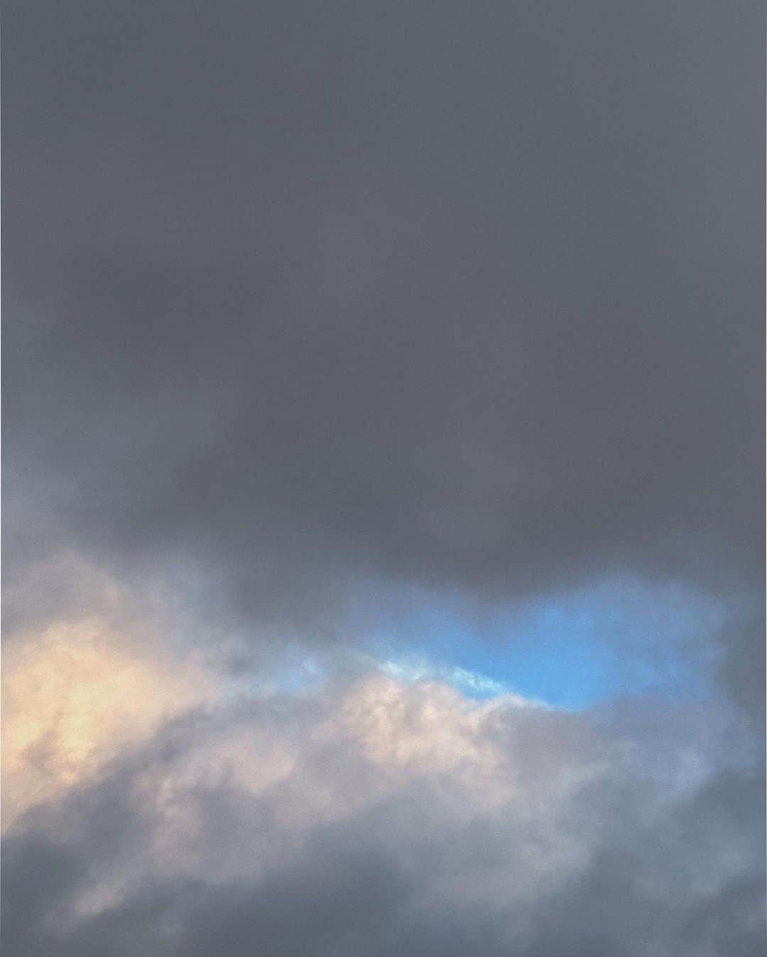 つかささんのインスタグラム写真 - (つかさInstagram)「子猫のフリして空を仰いだ」8月25日 15時48分 - tsukapon0219
