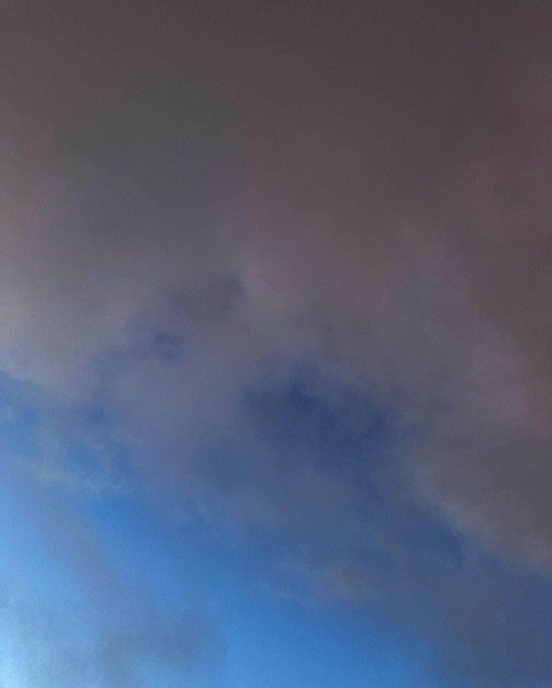つかささんのインスタグラム写真 - (つかさInstagram)「子猫のフリして空を仰いだ」8月25日 15時48分 - tsukapon0219