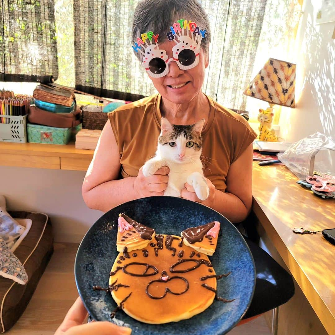 hoshino katsuraのインスタグラム：「オカンのバースデーソング🎂🎉⁡ ⁡⁡ ⁡⁡ ⁡#teko家卒猫 #下半身不随猫三太 #下半身不随猫チョロ #サンチョロ #哀れなリスナーにサンチョロの祝福を #下半身不随猫 #下半身不随猫と暮らす #圧迫排尿猫 #圧迫排尿  #cat #rescuecat #ねこ #保護猫 #負傷猫 #熊本市動物愛護センター出身 #teko家の犬猫たち#花の木シェルター」